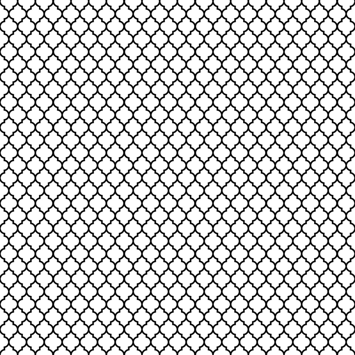 Monochrome Moroccan Fabric