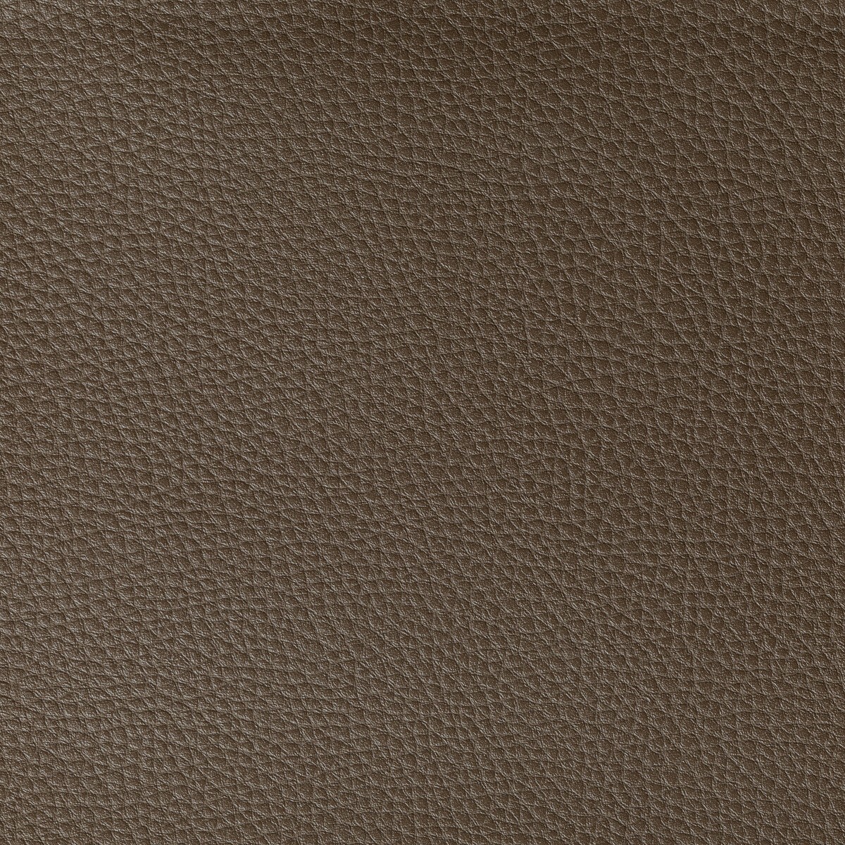 Boone Cocoa Fabric