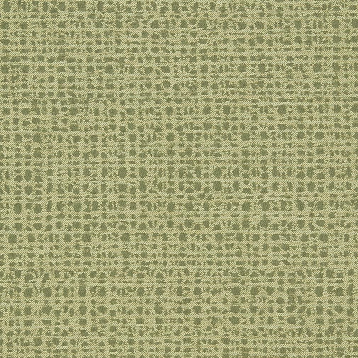 D885 Crosshatch/Sage