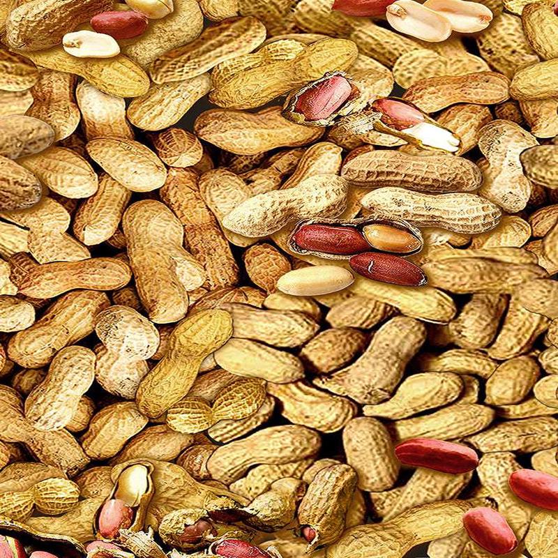 Ale House Digital In-Shell Peanuts By Kanvas Studio For Benartex Digital Natural