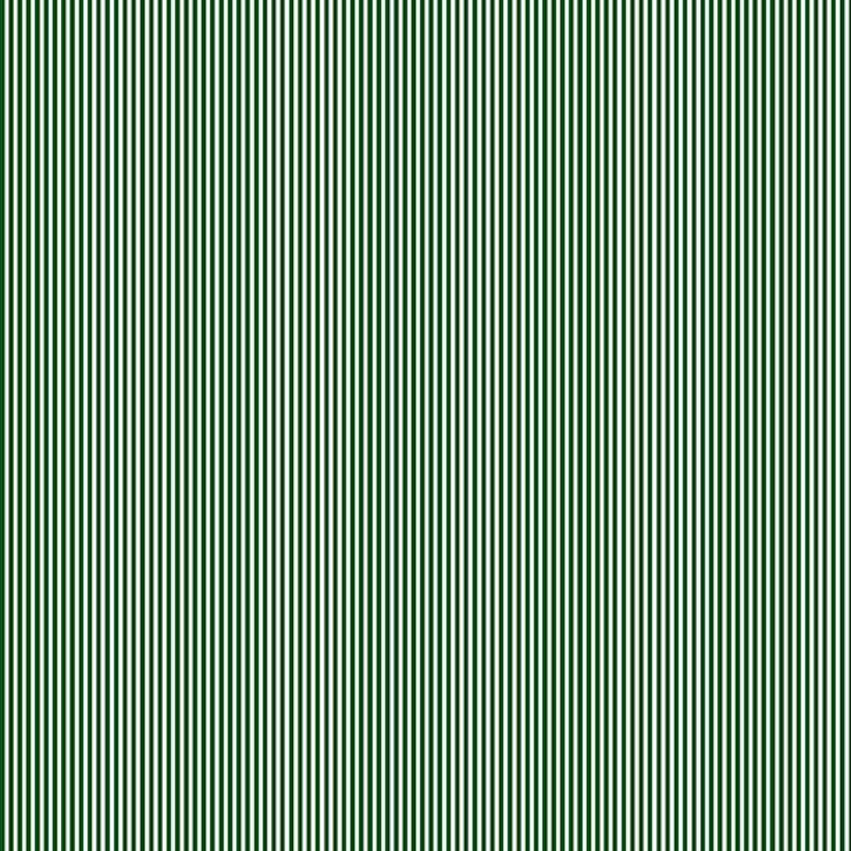Essentials Classics - Pinstripes Dark Green/White