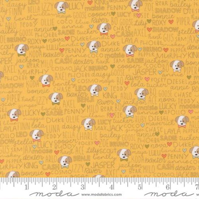 Fabric Moda Sun Buddies Lucky by the Quarter Yard 55702-14