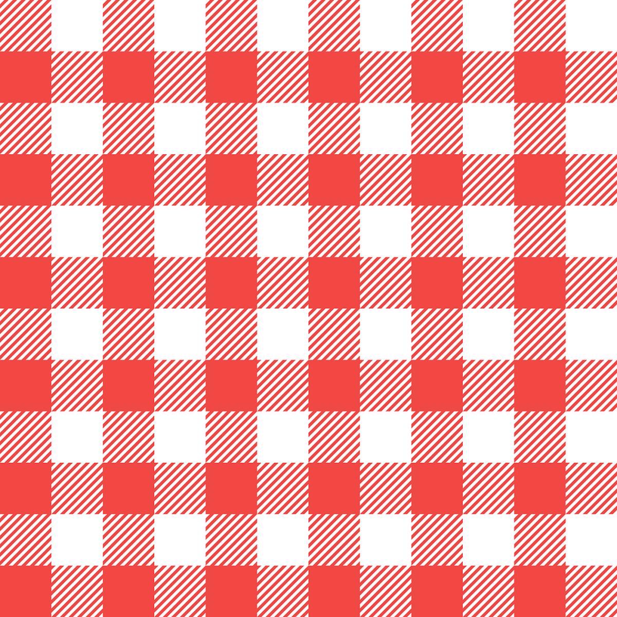 Gingham Fabric - Cinnabar