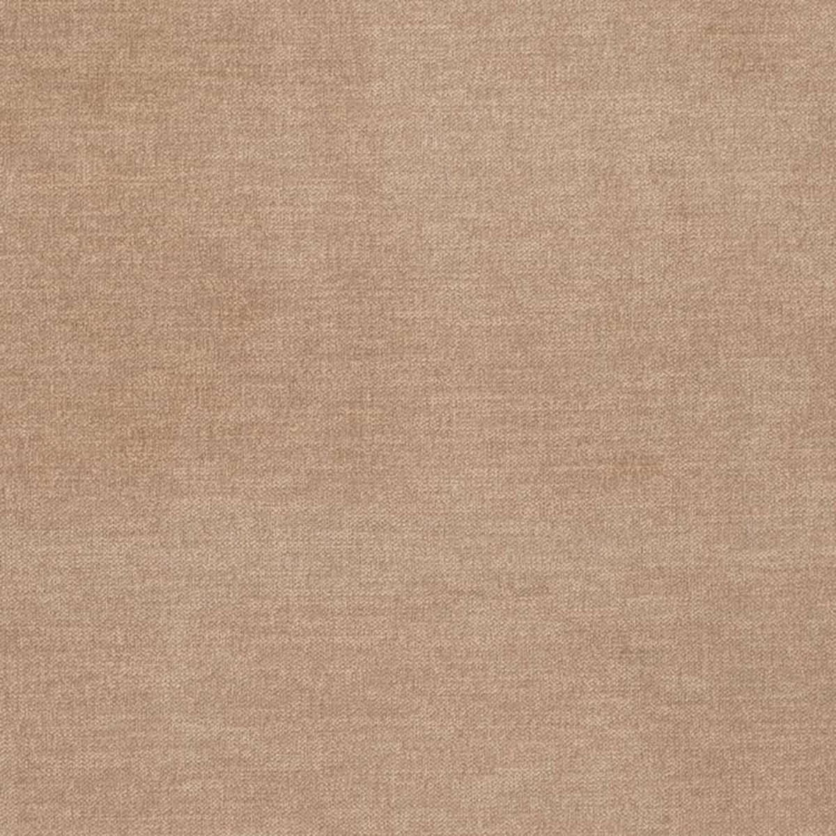 D3836 Plain & Solid Rattan Beige & Taupe Charlotte Fabrics