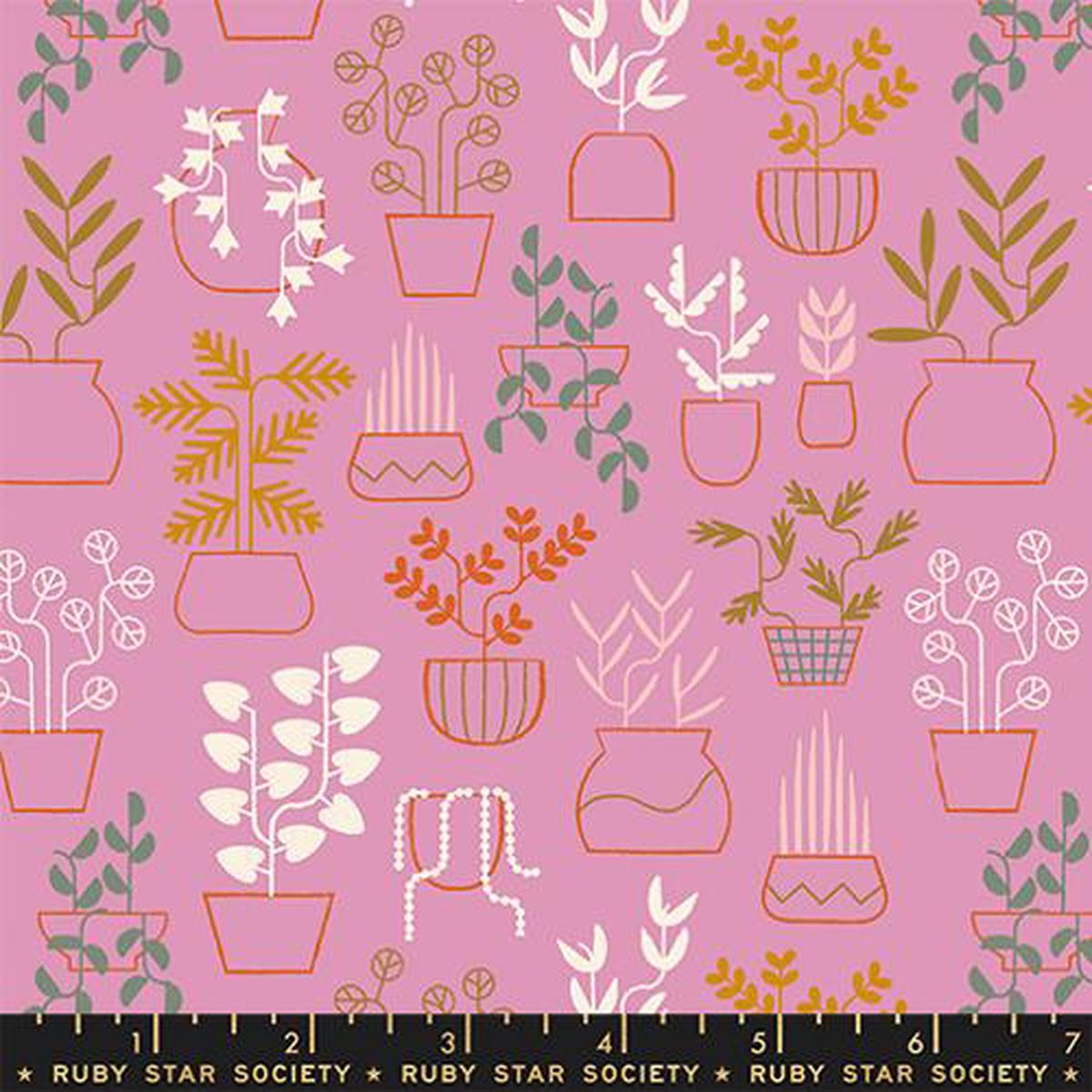 KISS Plant Life, Calathea by Ruby Star Society