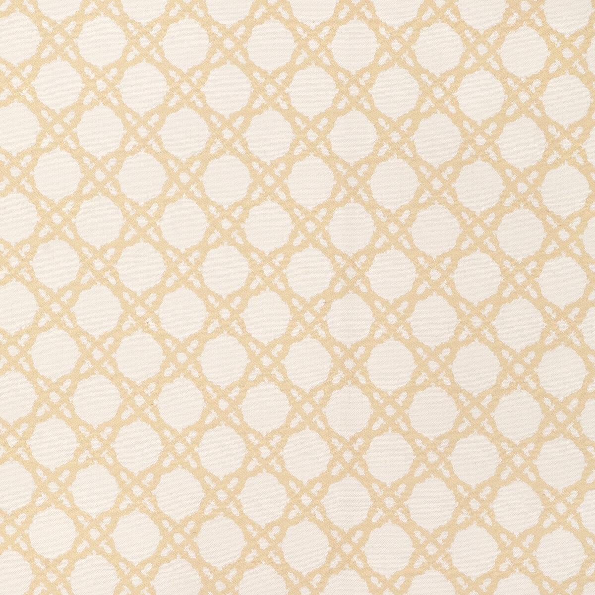 Coastal Cane Sand Fabric
