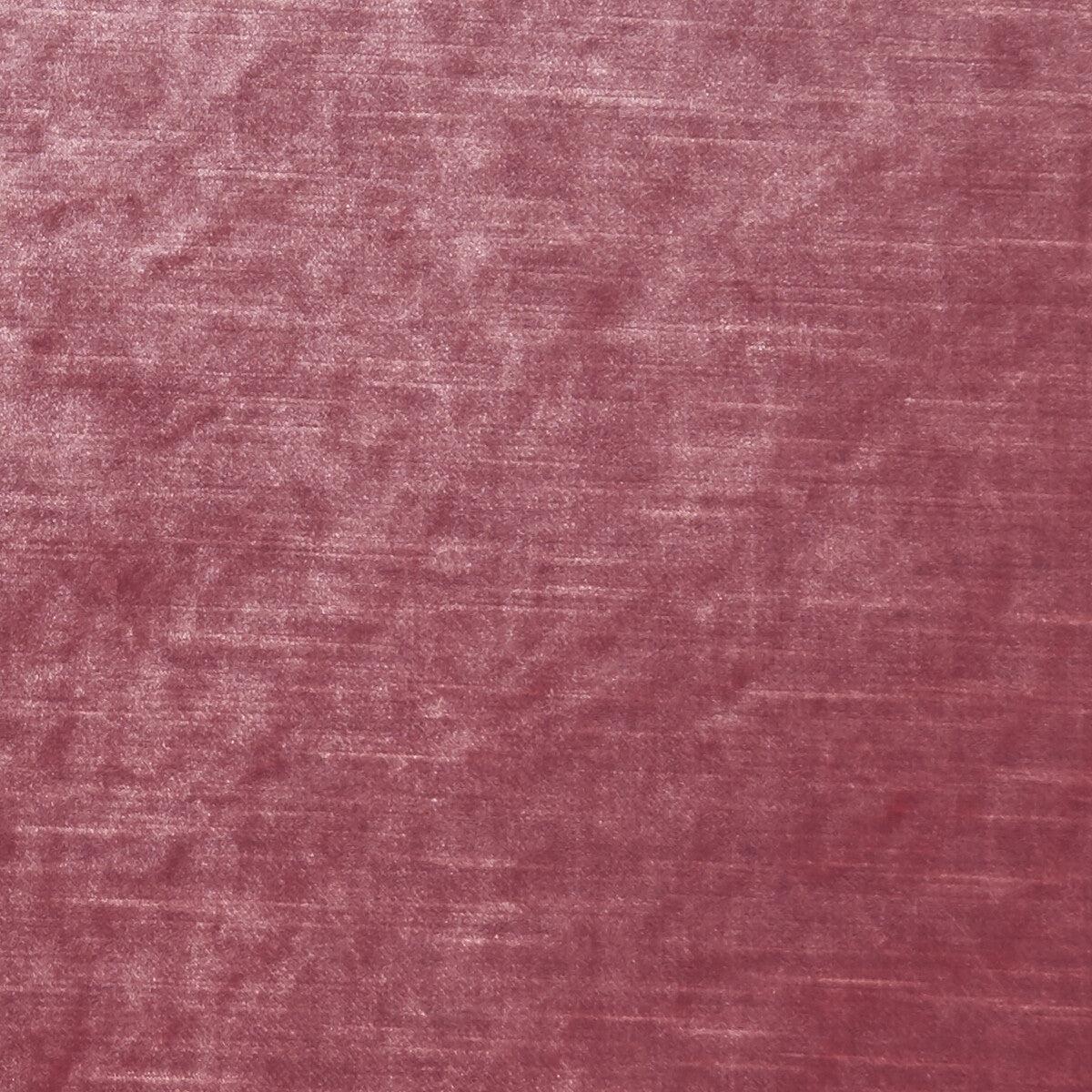 Allure Candy Fabric