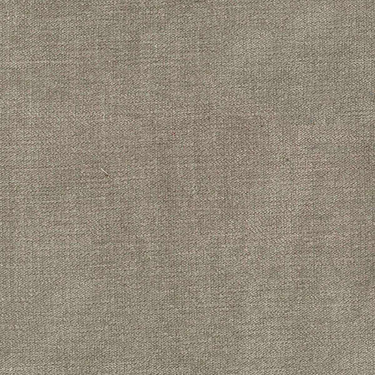 Venice Birch Regal Fabric