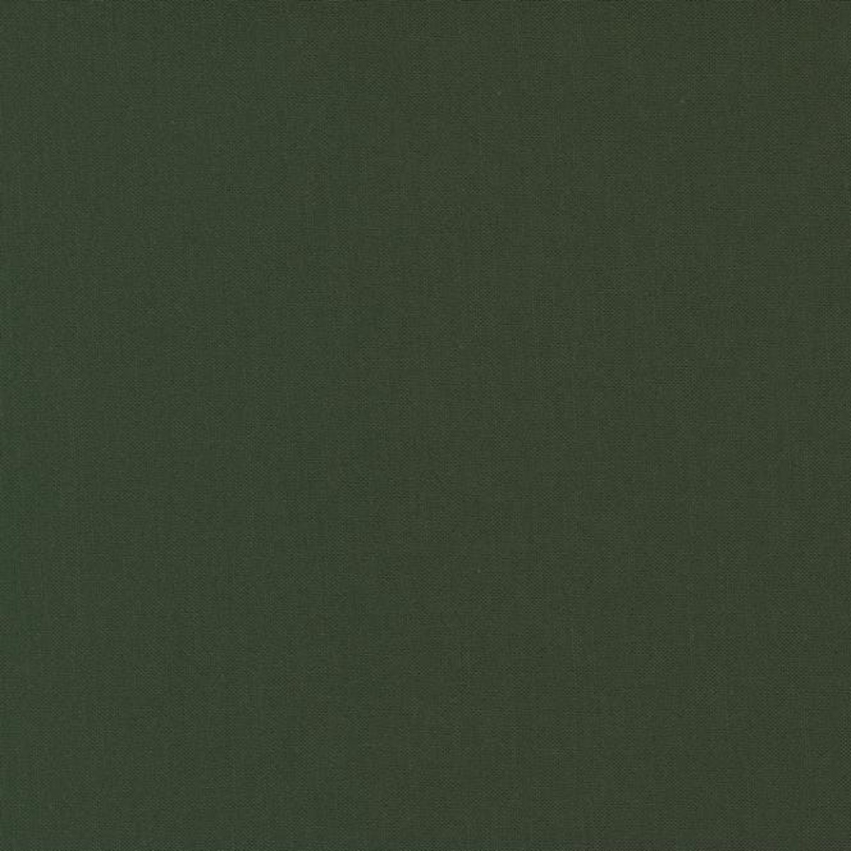 Bella Solids - Pine