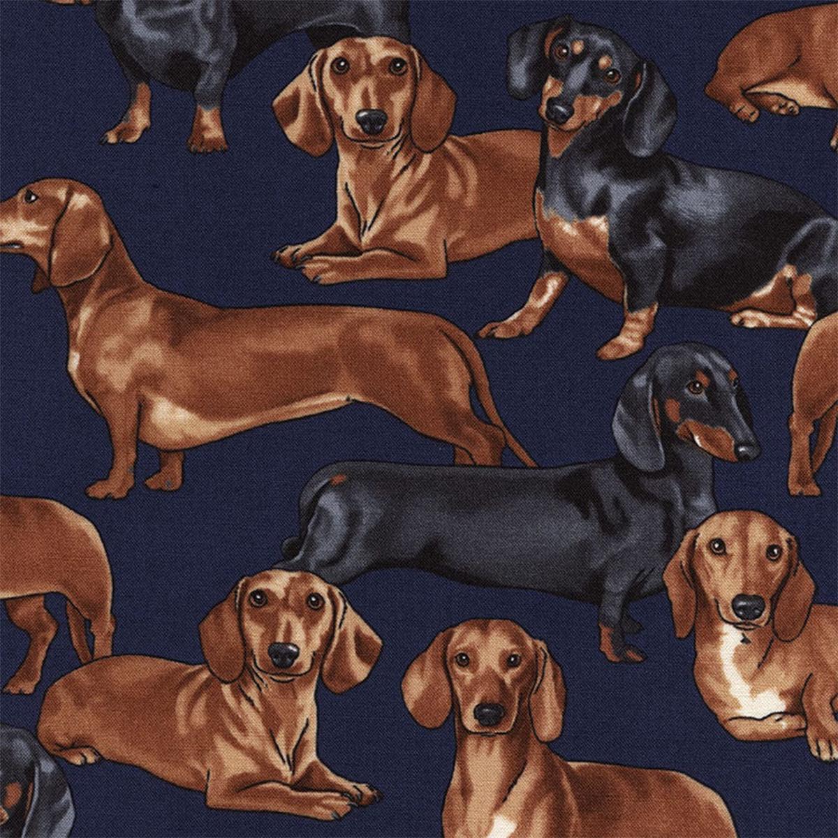 Timeless Treasures Cats and Dogs Fabric - Dachshund Blue GM-C3190