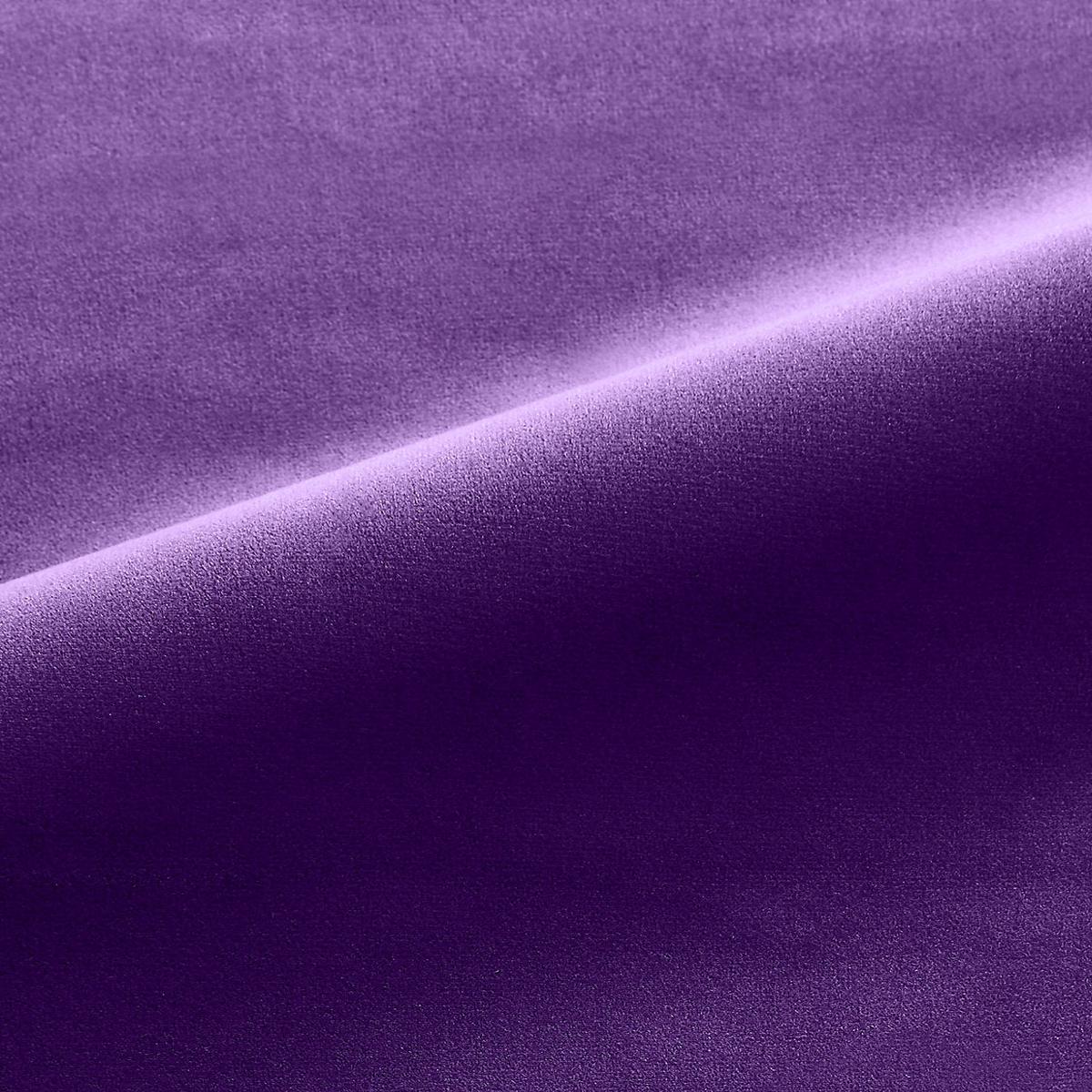 Linley - Purple Jester by Scalamandre Fabric