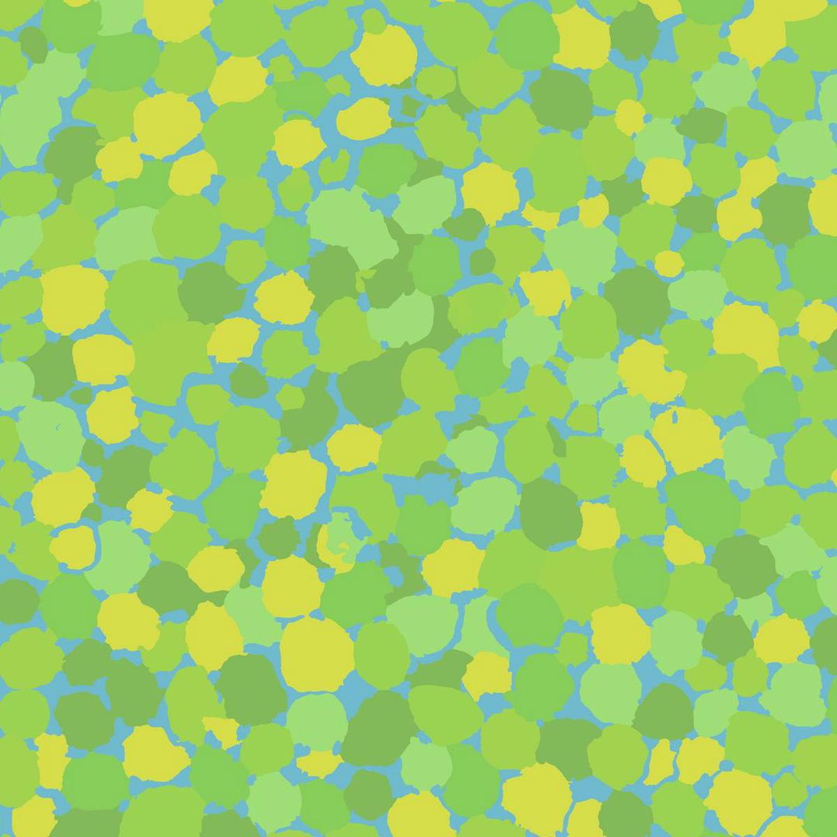 Brandon Mably - Reflections - Reflections, Lime