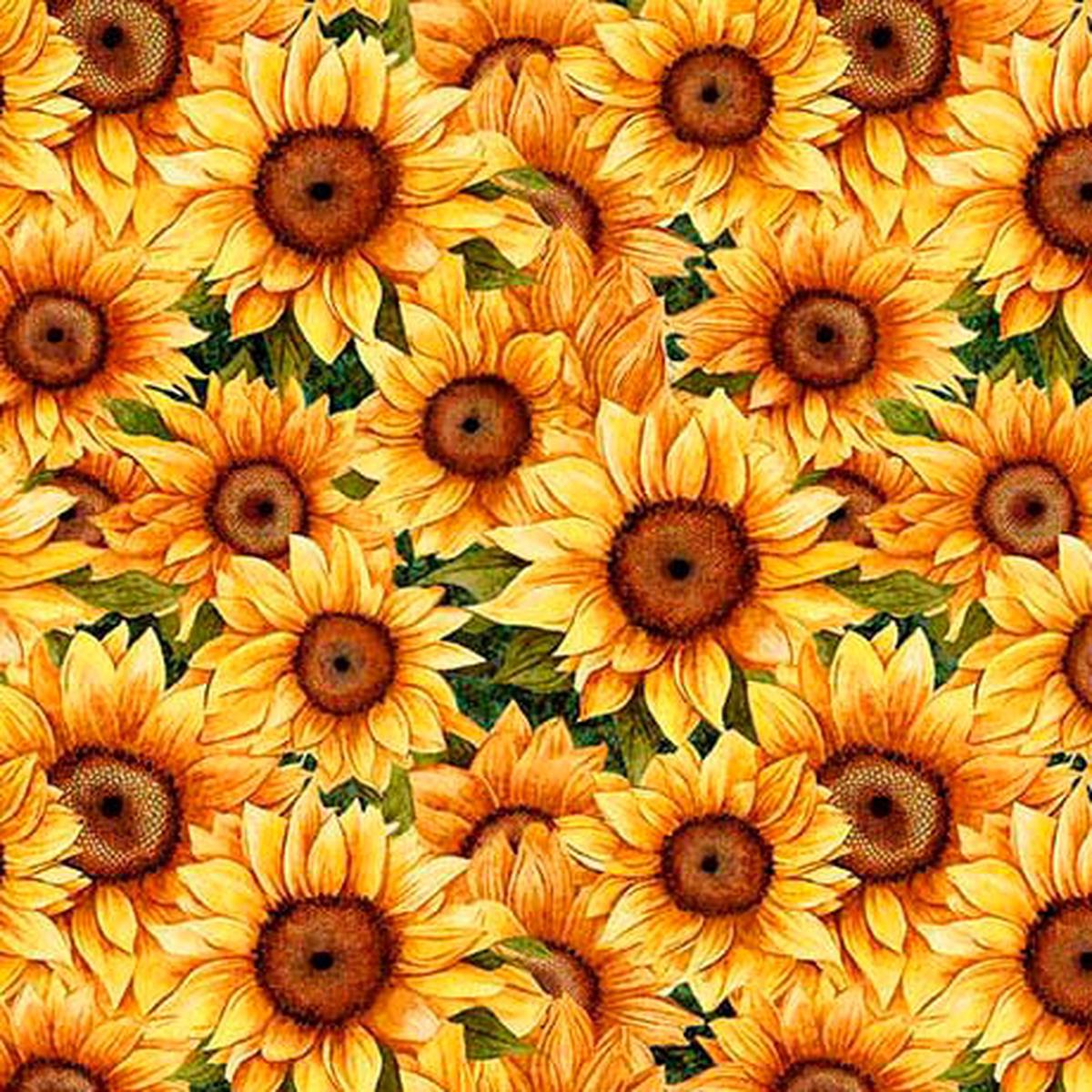 Fabric QT Green Packed Sunflowers Sunflower Serenade by the Quarter Yard 31804-G