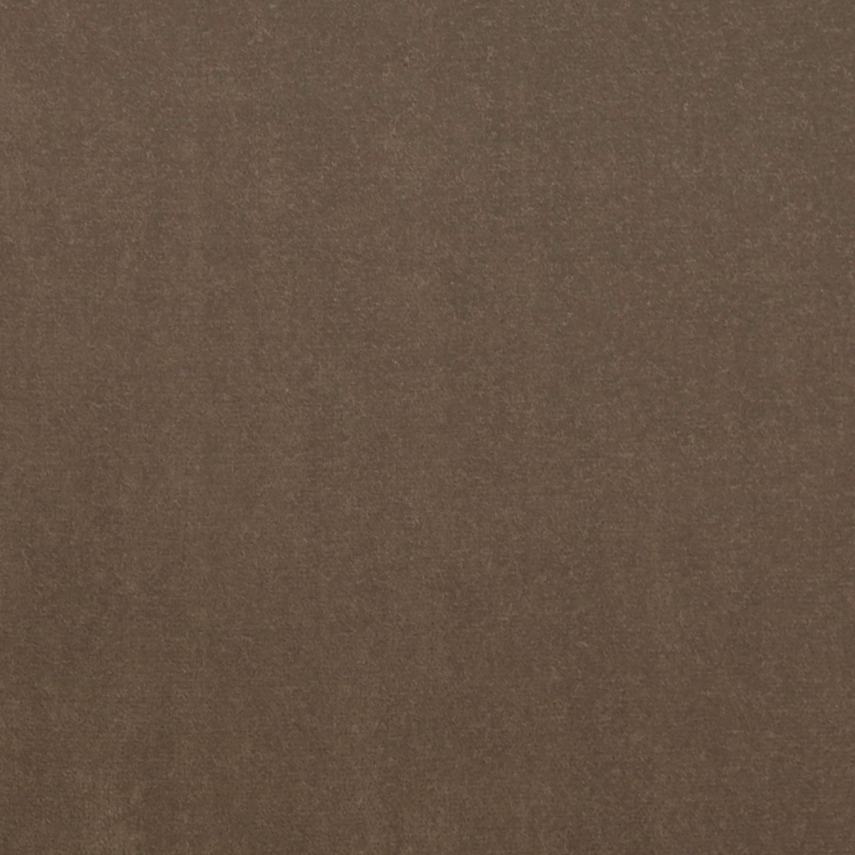 Taboo Rum P/Kaufmann Fabric