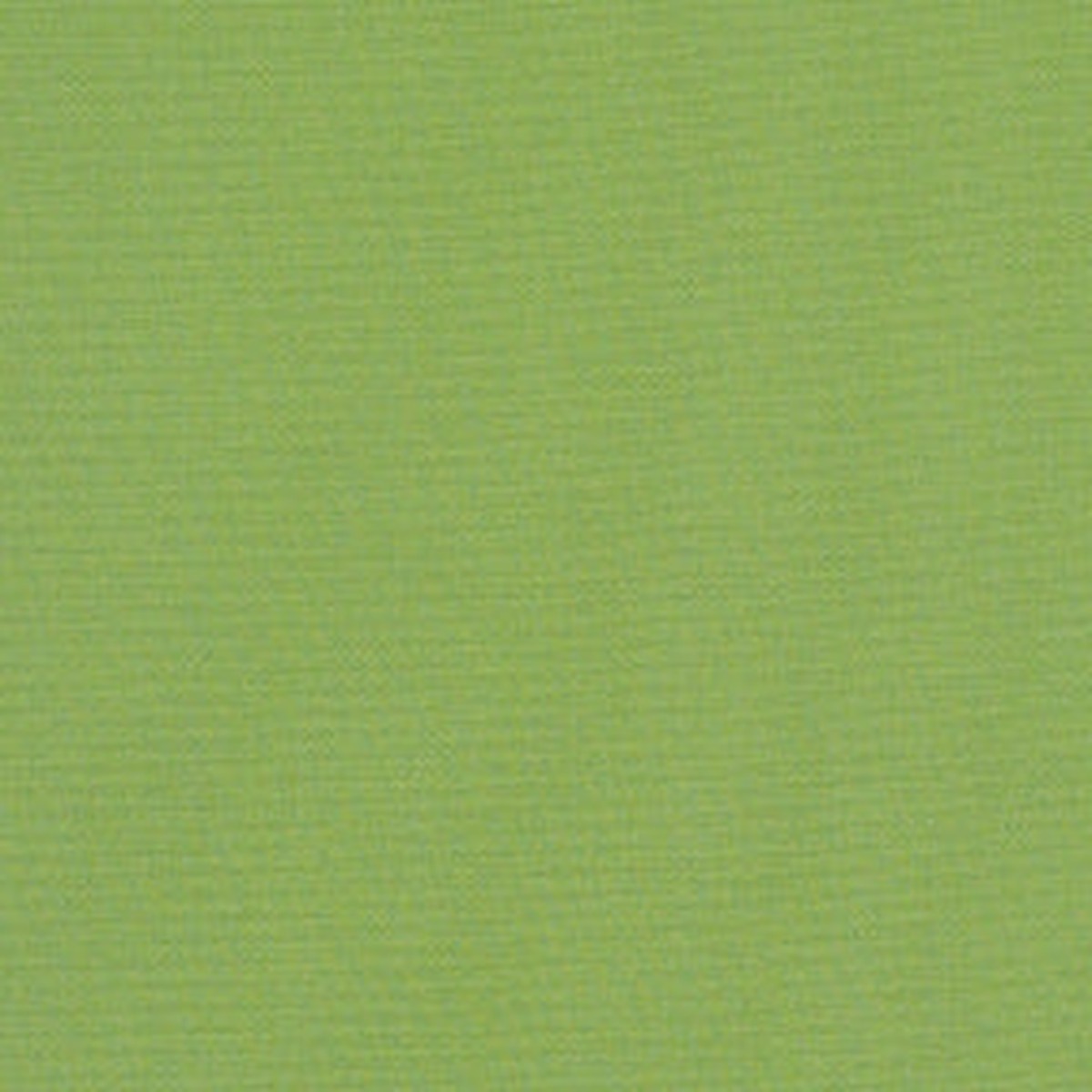 Sunbr Furn Solid Canvas 54011 Gingko Fabric
