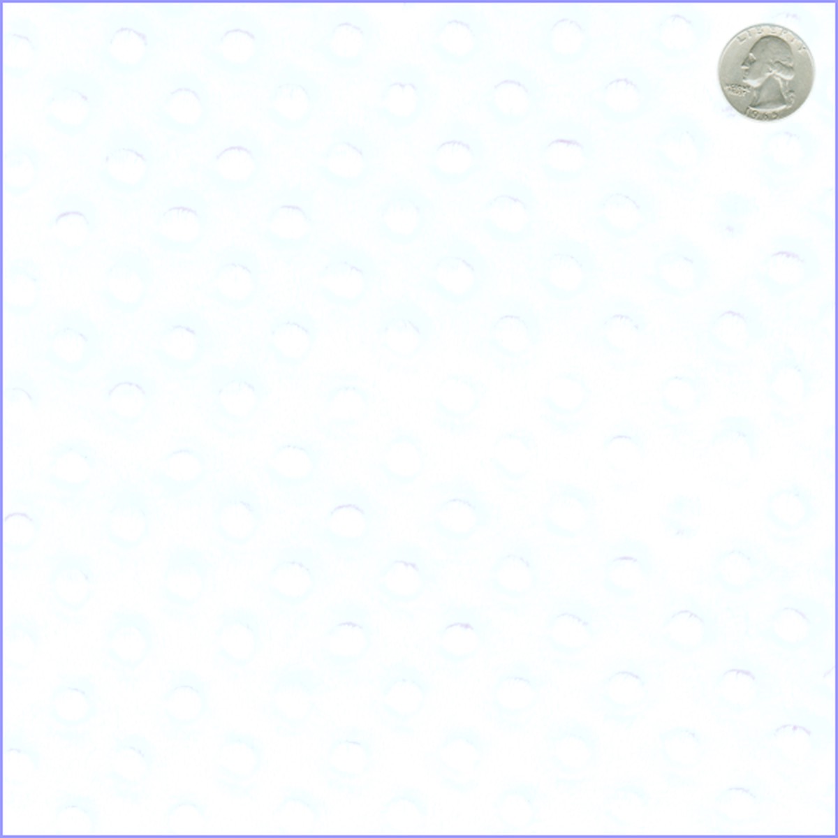 12 YD Bolt-White Minky Dot Fabric
