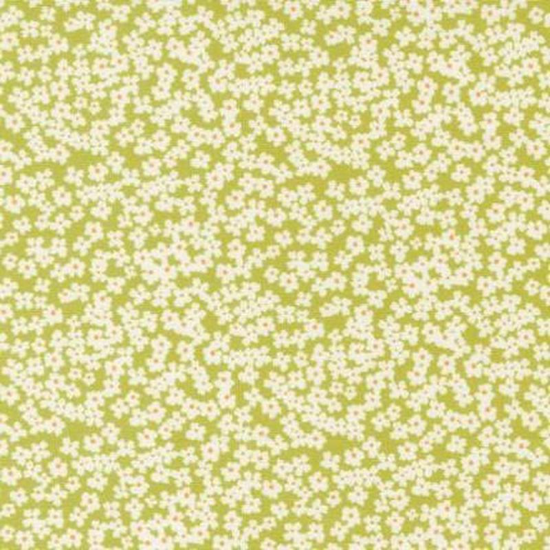 Shine - Bloom Grass