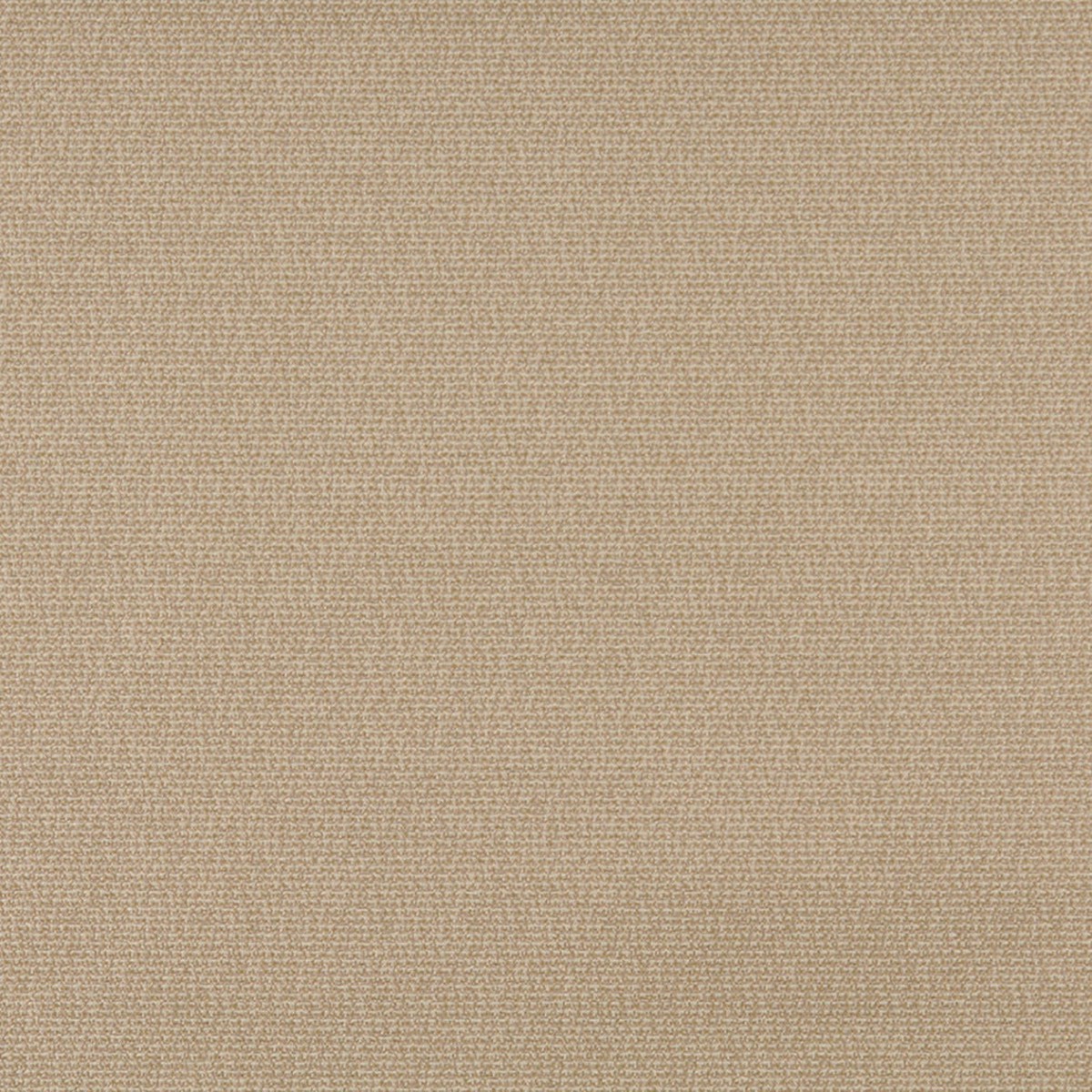 3821 Wheat