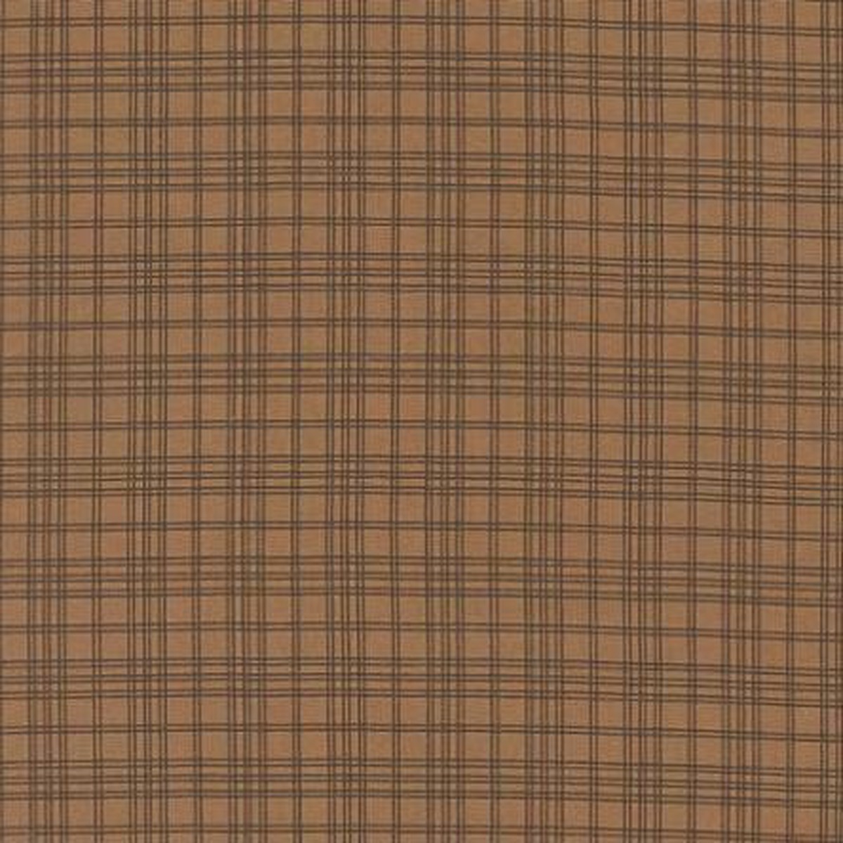 Pumpkin Spice Gatherings - Dried Leaf Plaid