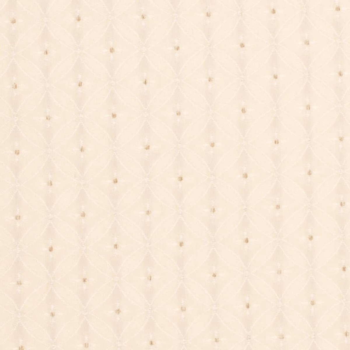 Charlotte - D4082 - Ivory Bria - Fabric by the Yard
