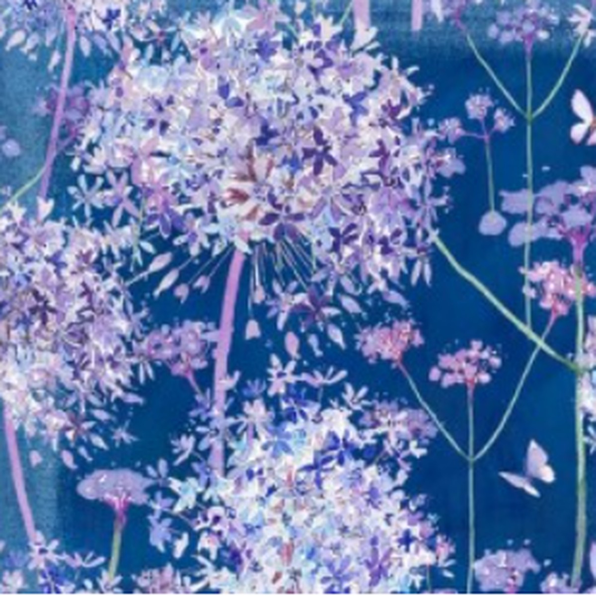 Michael Miller - Beau Allium - Bloom Halo - DDC12849-CLAS-D