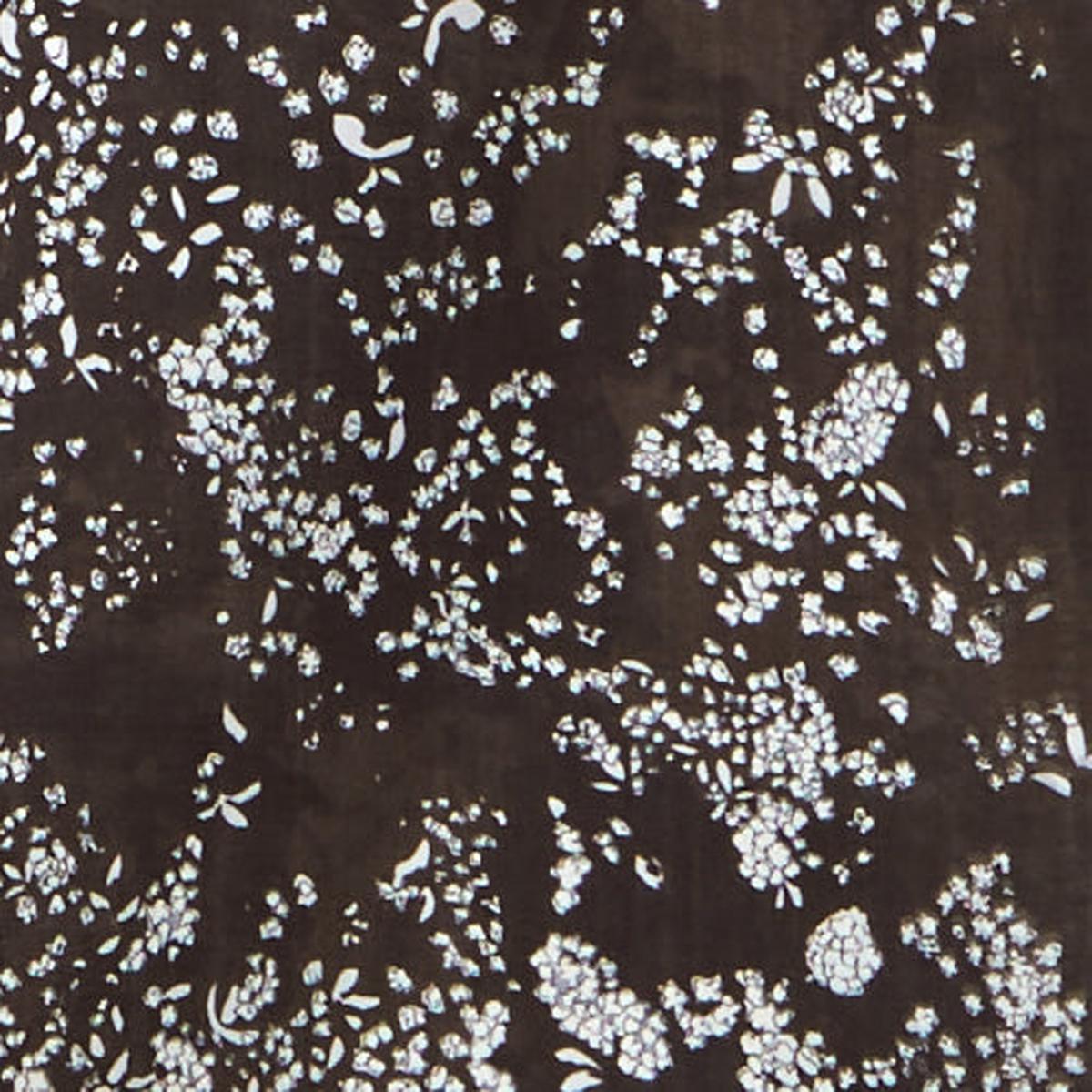 nani IRO Lei Nani Organic Double Gauze Black
