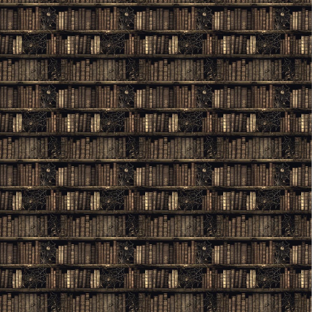 Edgar Allen Poe Bookshelf with Cobwebs Fabric