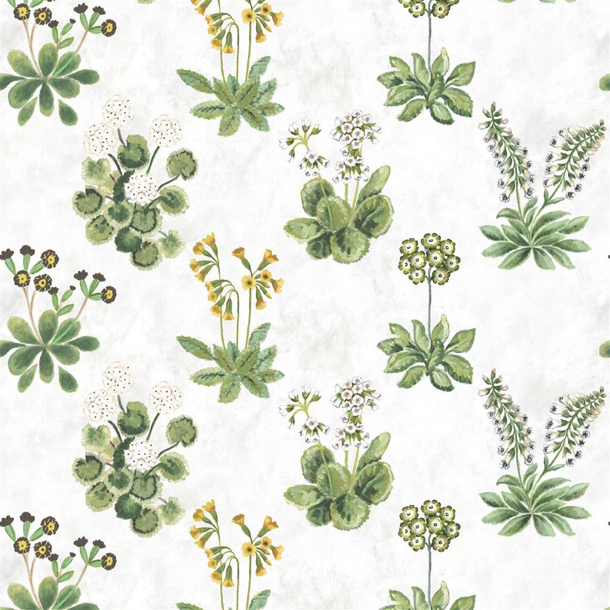Primevere Sage - Designers Guild - Fdg3293-01 Fabric