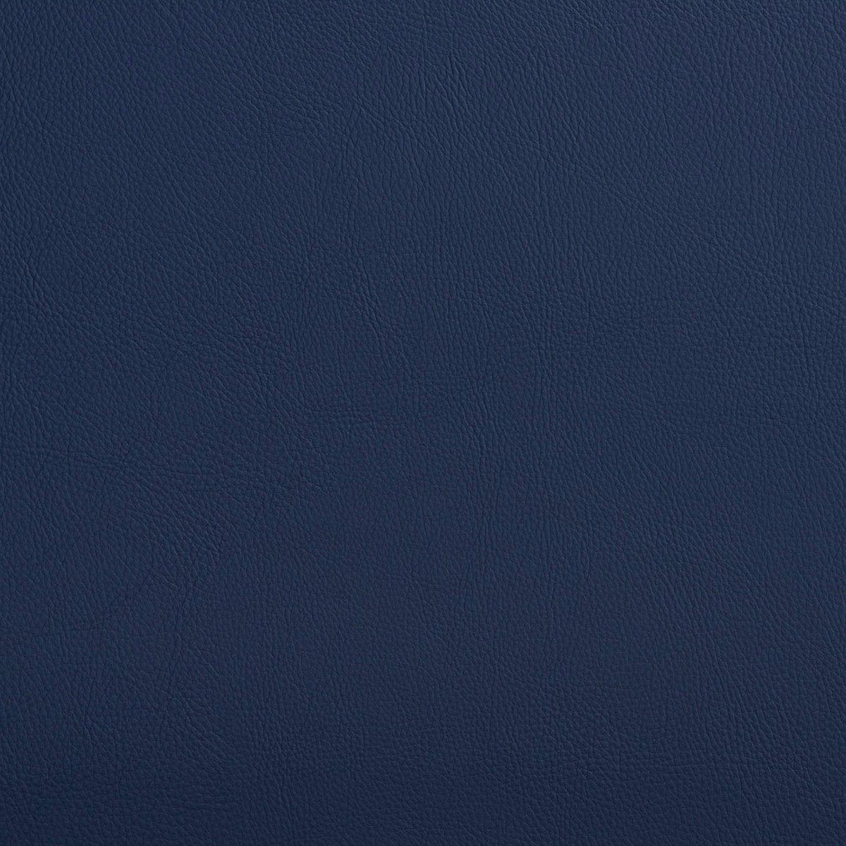 Louie Indigo