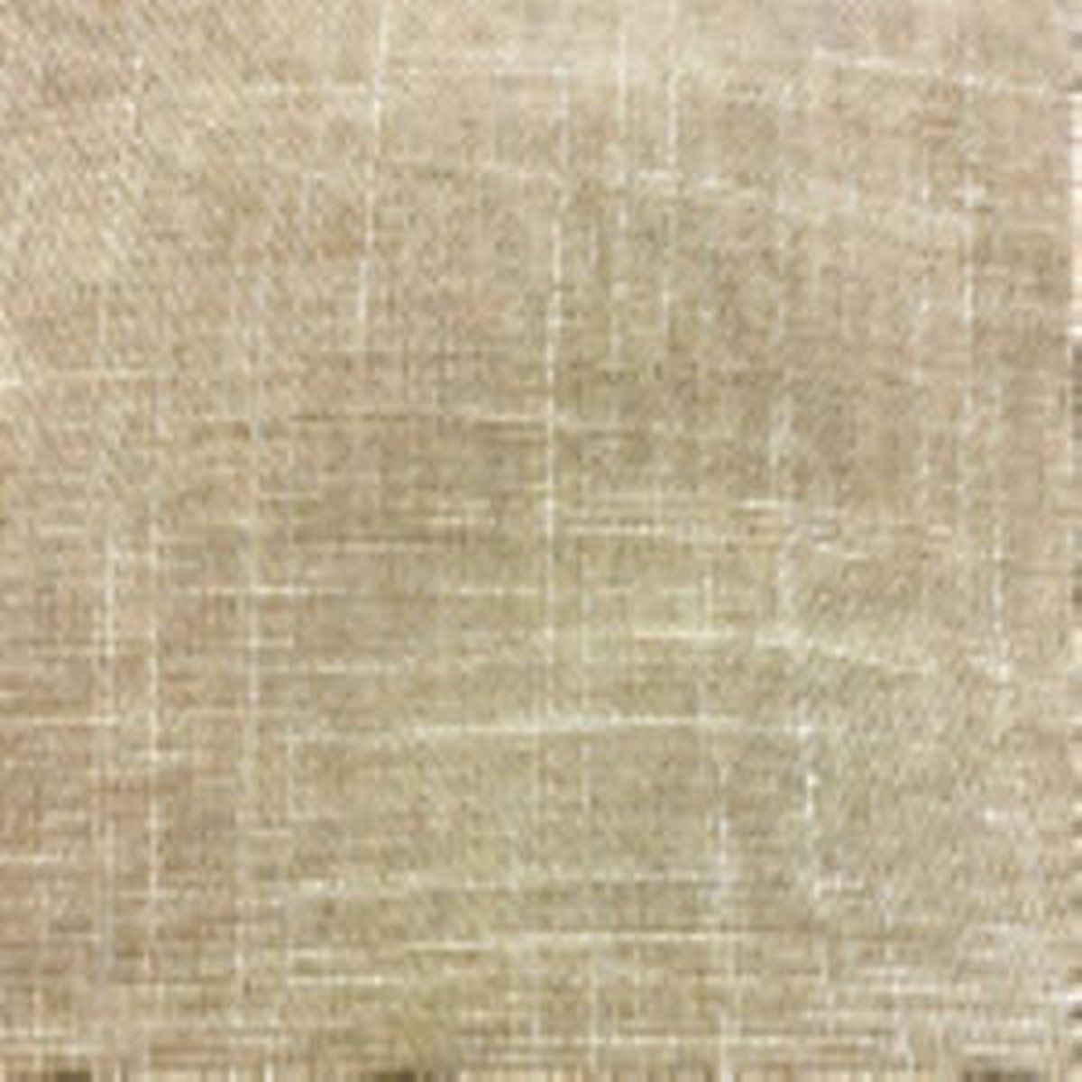 Lily Latte by Norbar Fabric