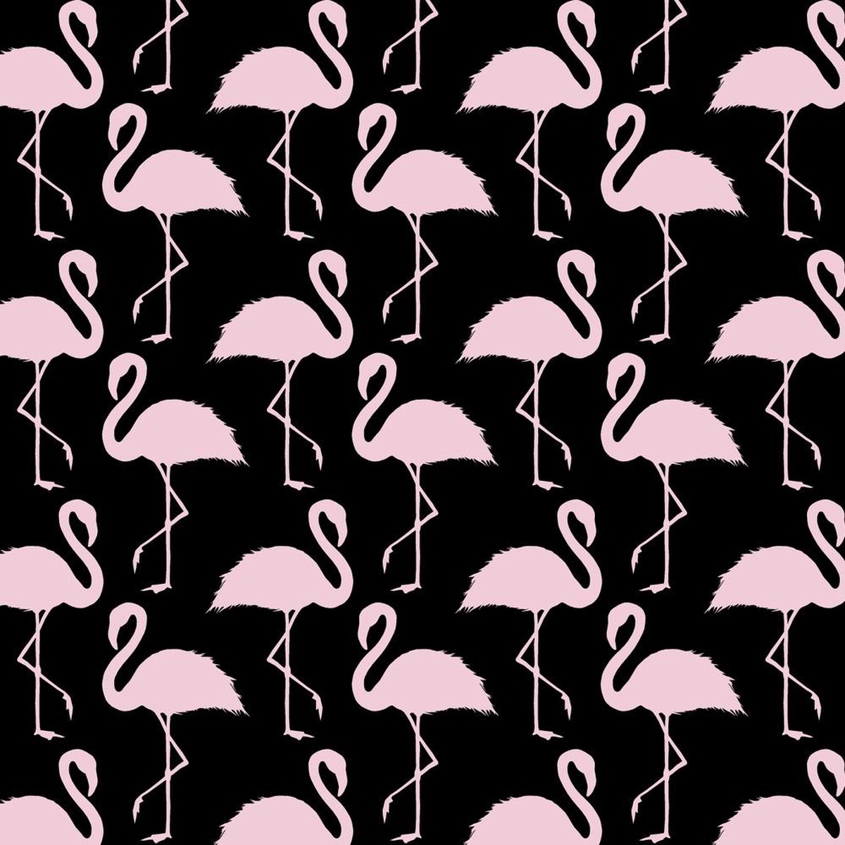 Trendy Flamingo Allover Fabric - Black