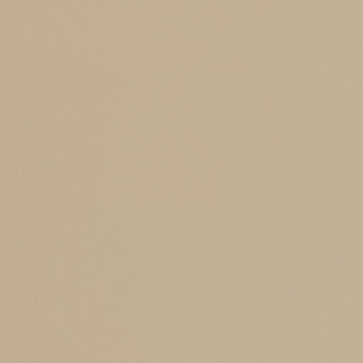 Delphine Sandstone