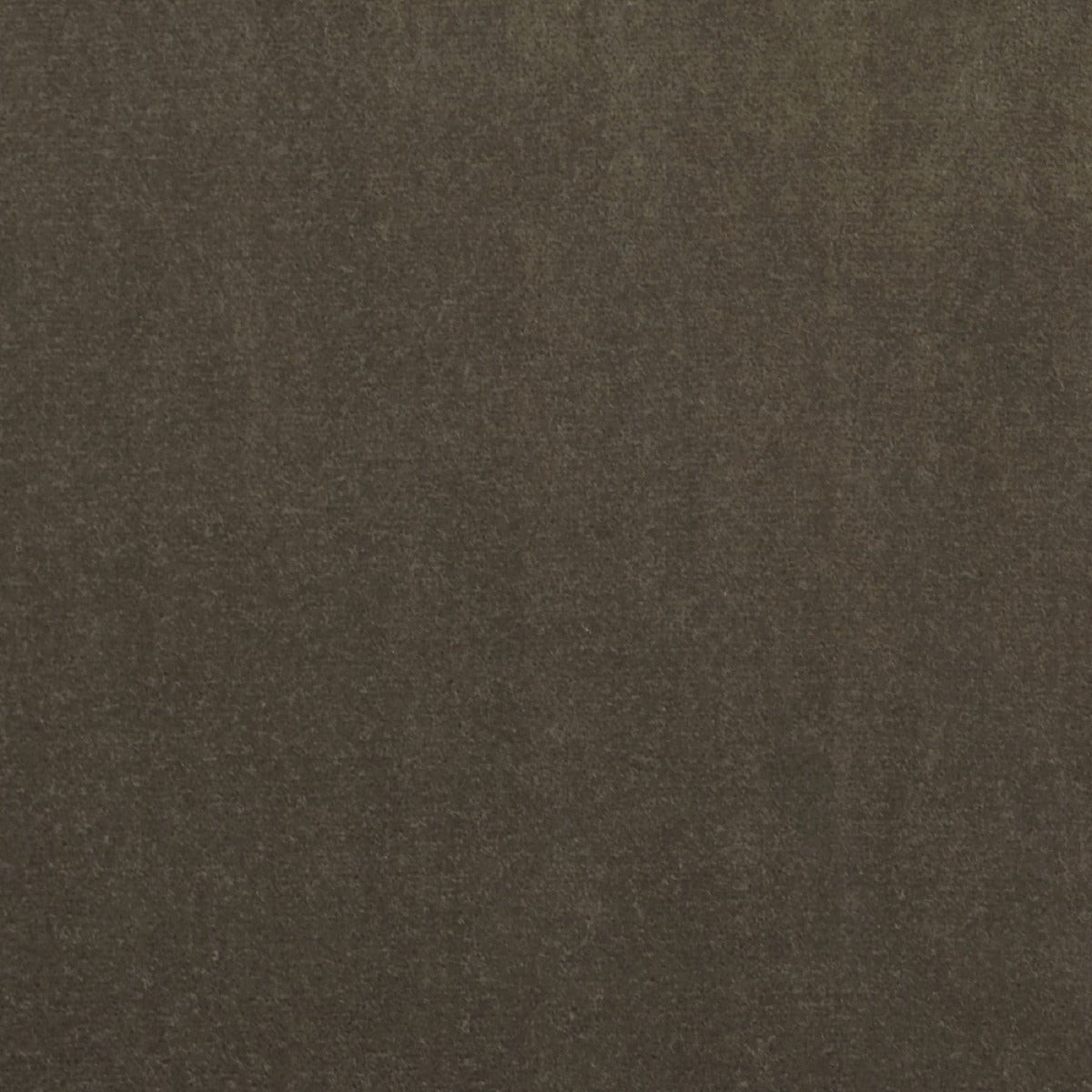 Taboo Tobacco P Kaufmann Fabric