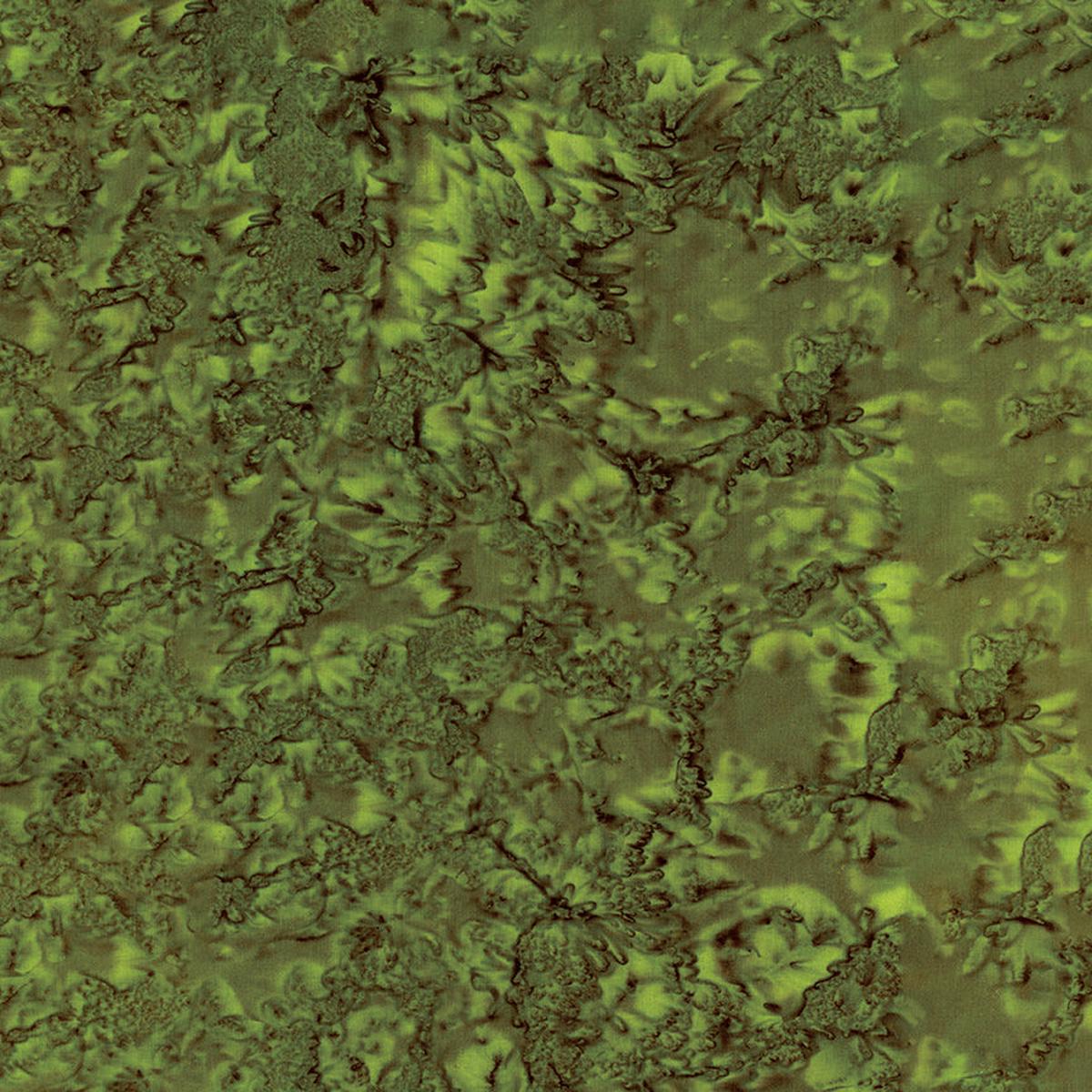 Expressions Hand-Dyes Batik Quilt Fabric - Olive - BT21000-315