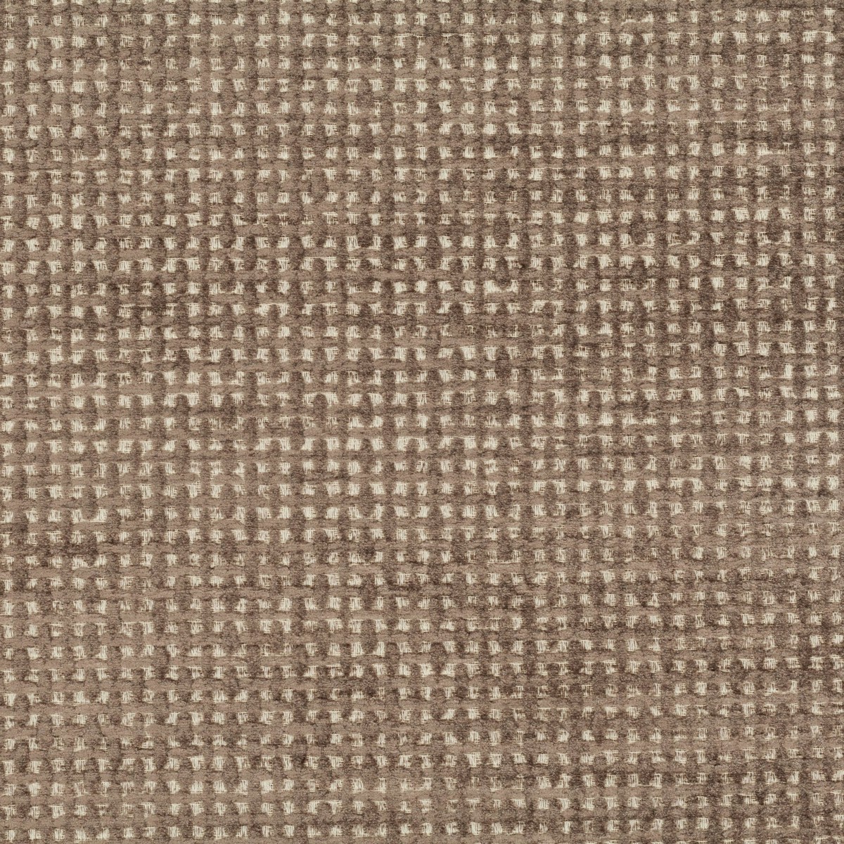 Carlucci Distinction 021 Fabric CA1505/021