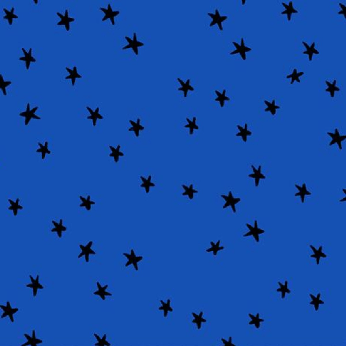 Starry - Blue Ribbon