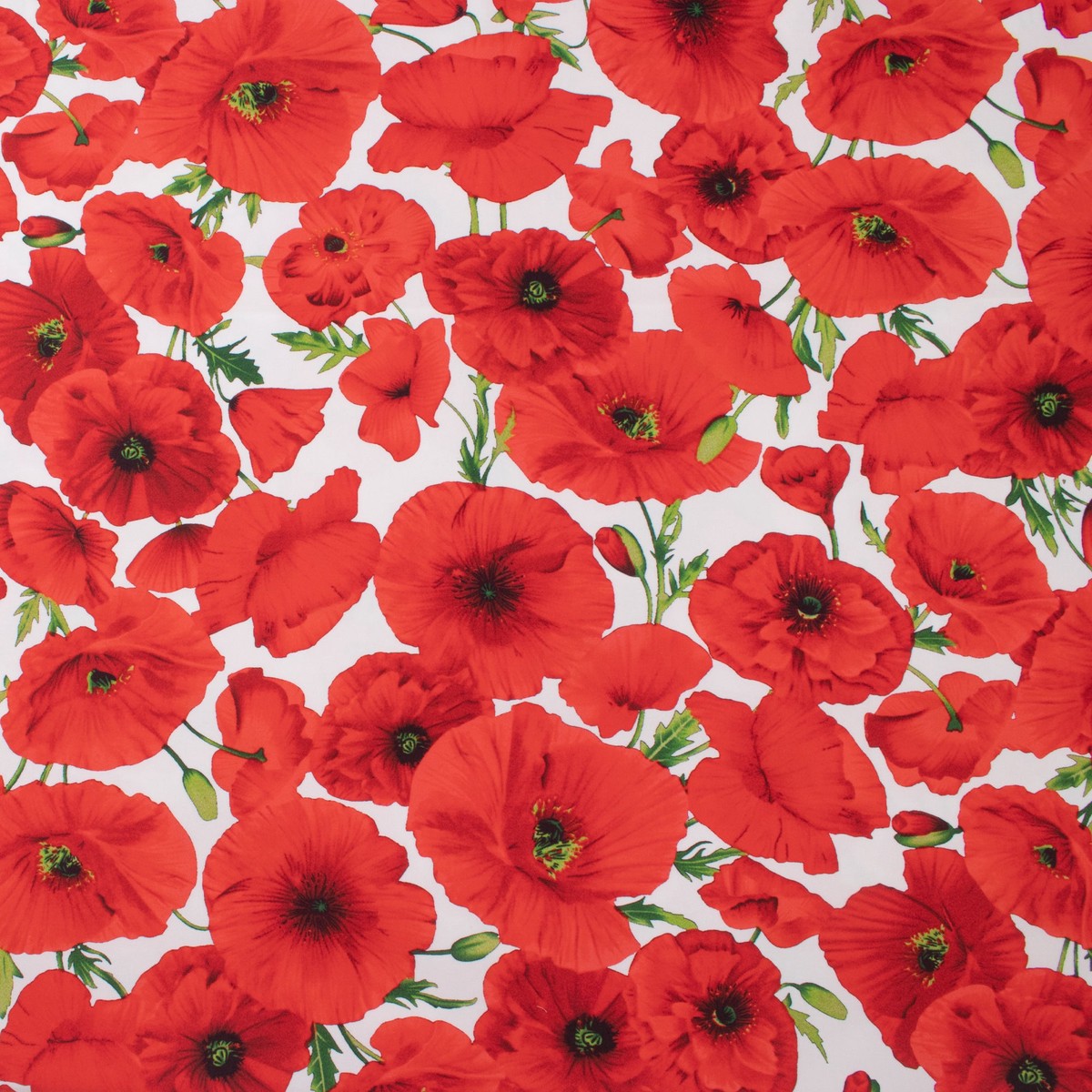 Digital Printed Stetch Cotton Sateen - ST-TROPEZ - 002 - White