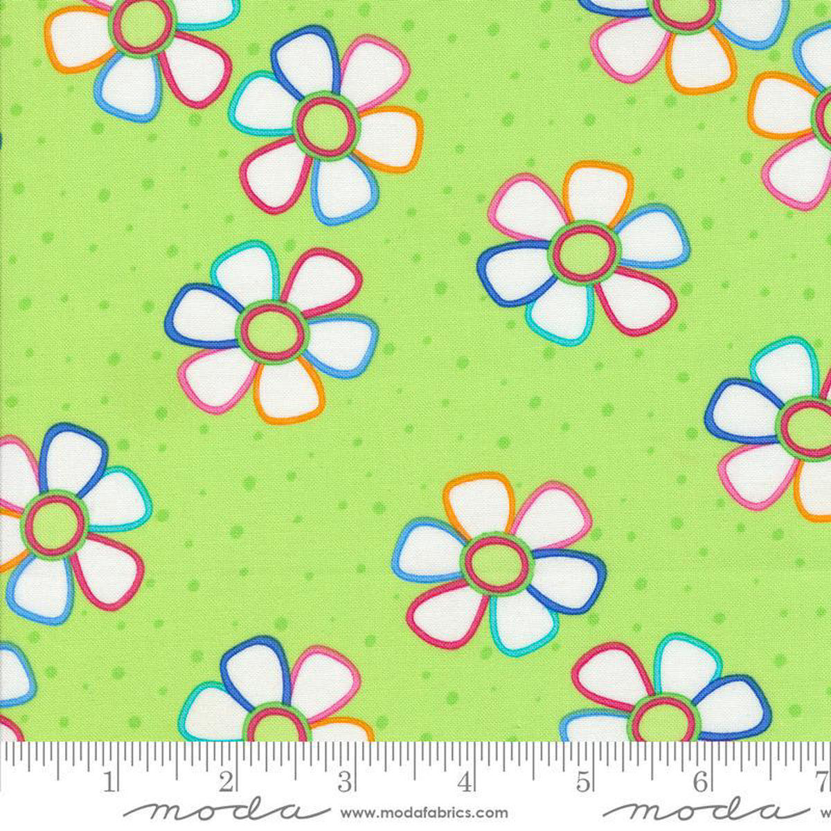 Fiesta Limeade 22471-20