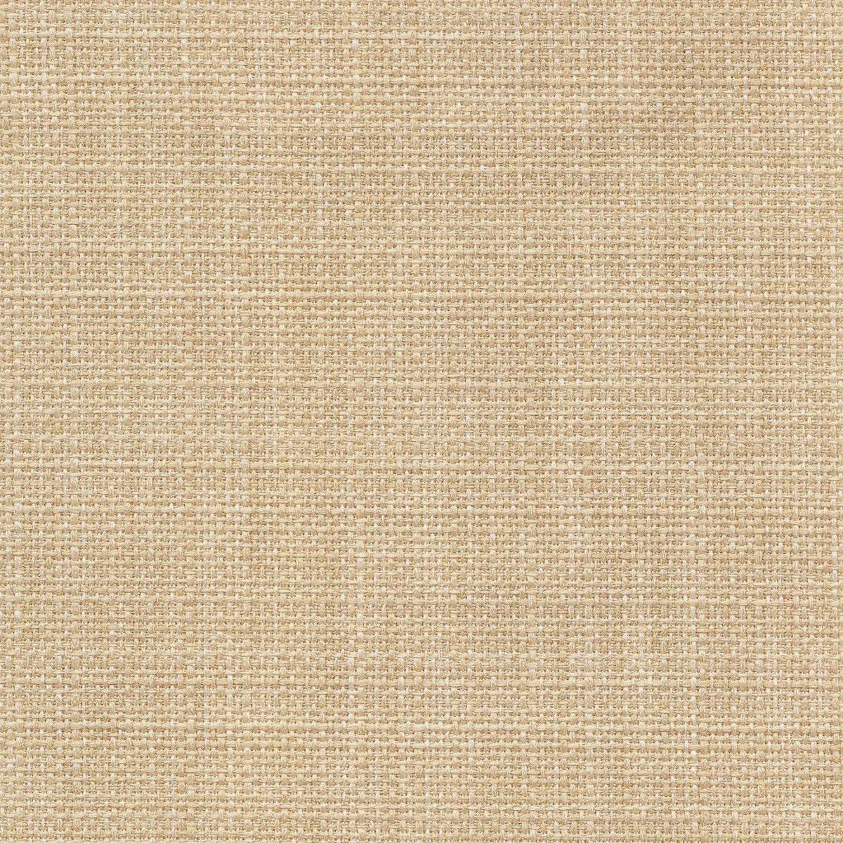 Saint Tropez Iced Coffee RM Coco Fabric