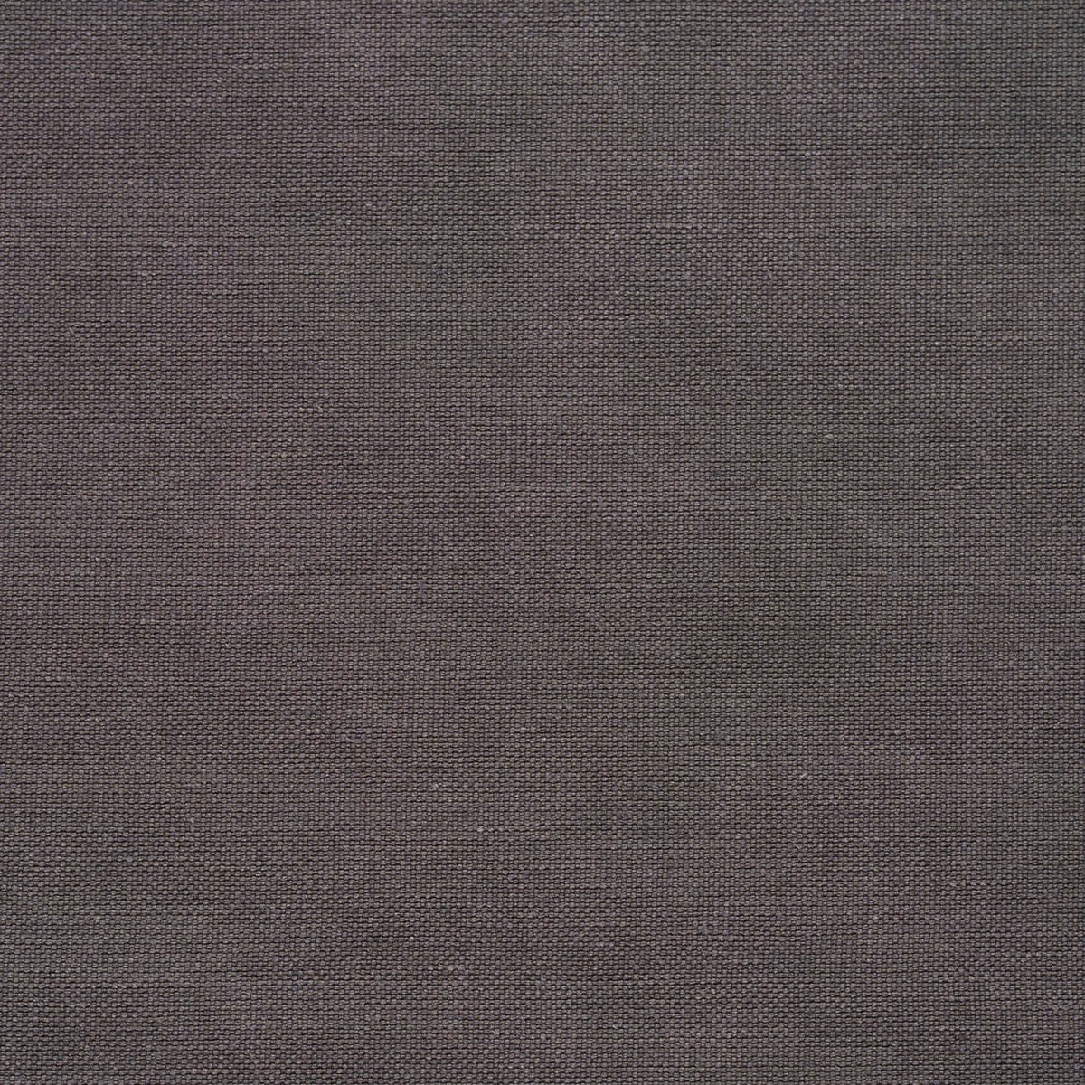 Charlotte - 20900-04 - Fabric by the Yard