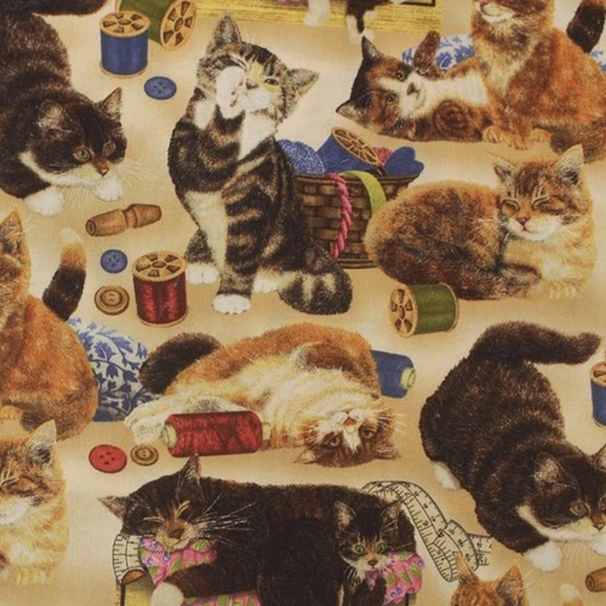 Feline Drive Fabric SEW CURIOUS Cats & Sewing Notions - Fat Quarter (18"x22") FQ