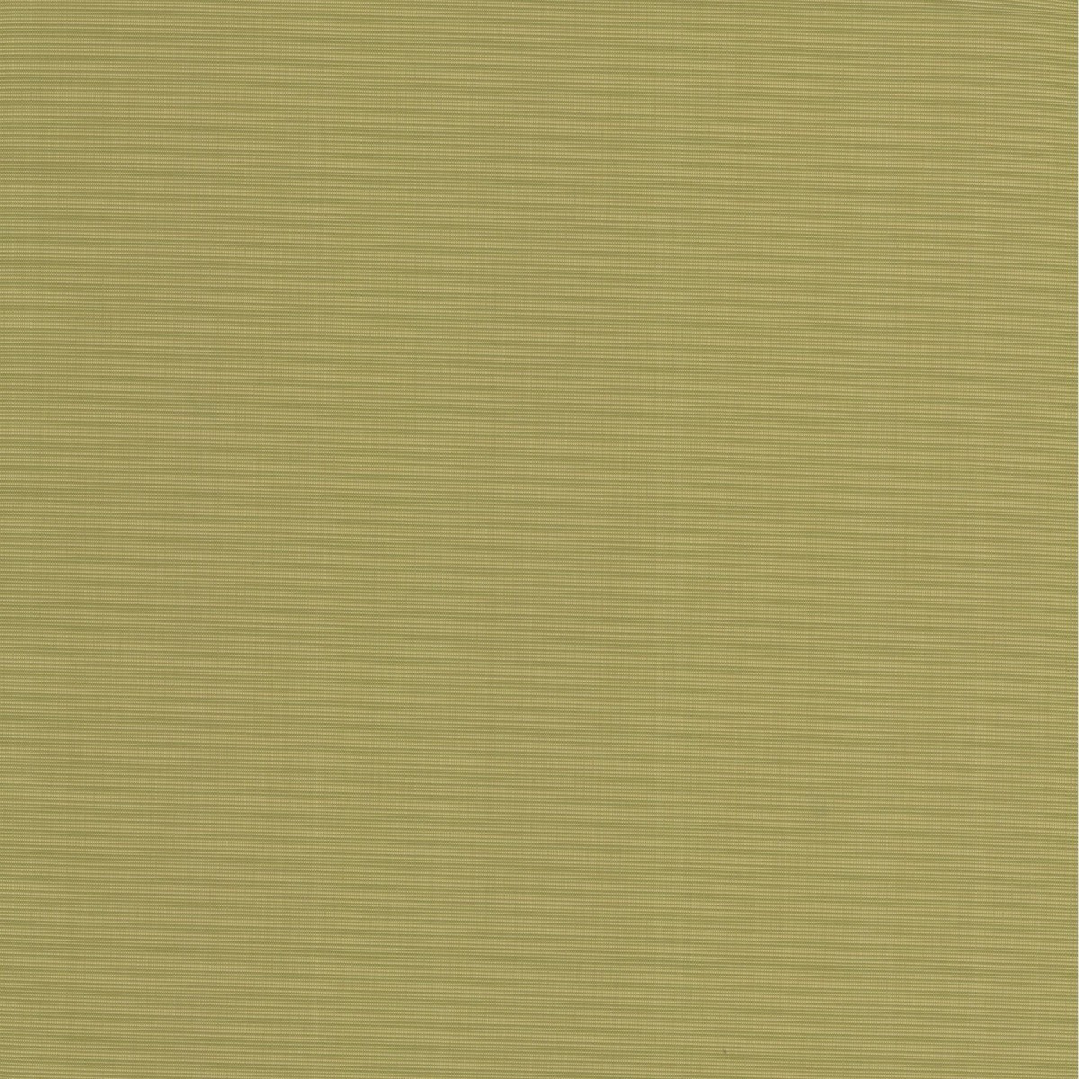 OD La Playa Lime Tempo Fabric