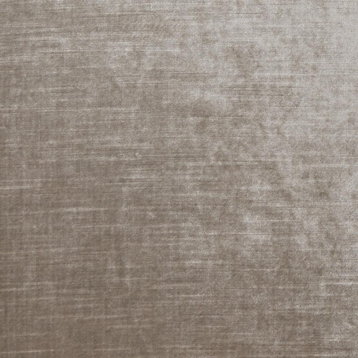 Allure Dove Fabric