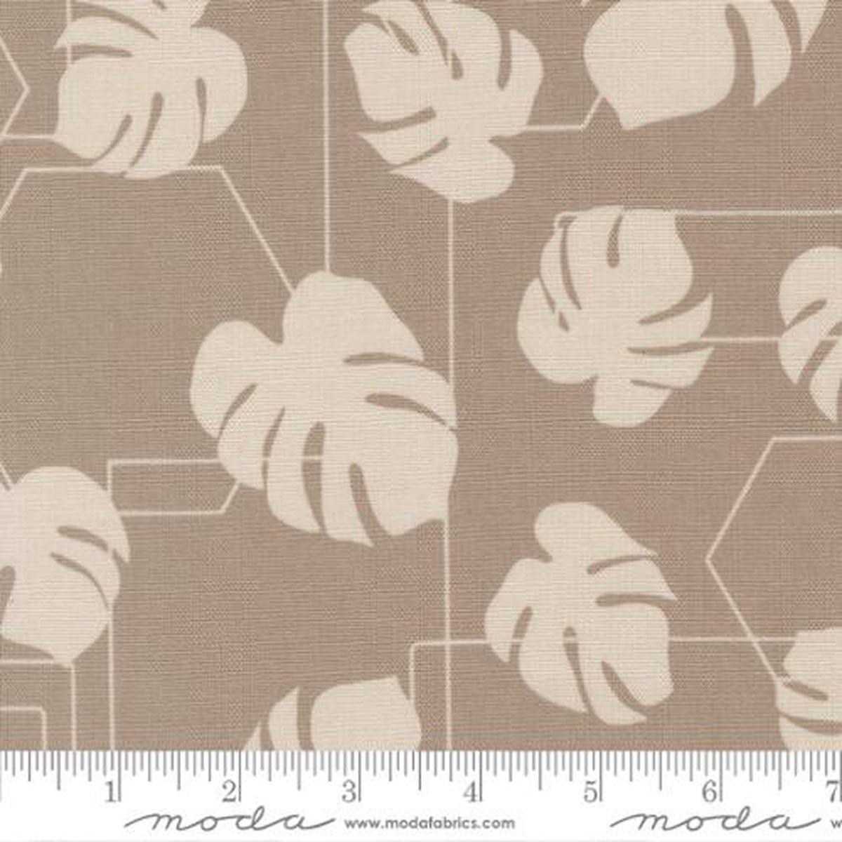 Moda - Potted - Kiley's Quilt Room - Ash 26142 13CV