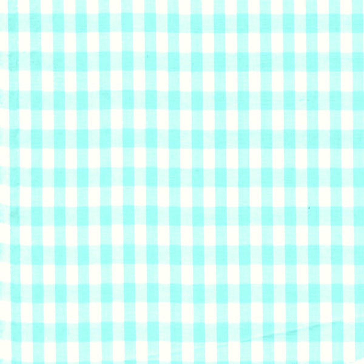 20 YD Bolt-Mint 1/4 Inch Gingham Fabric