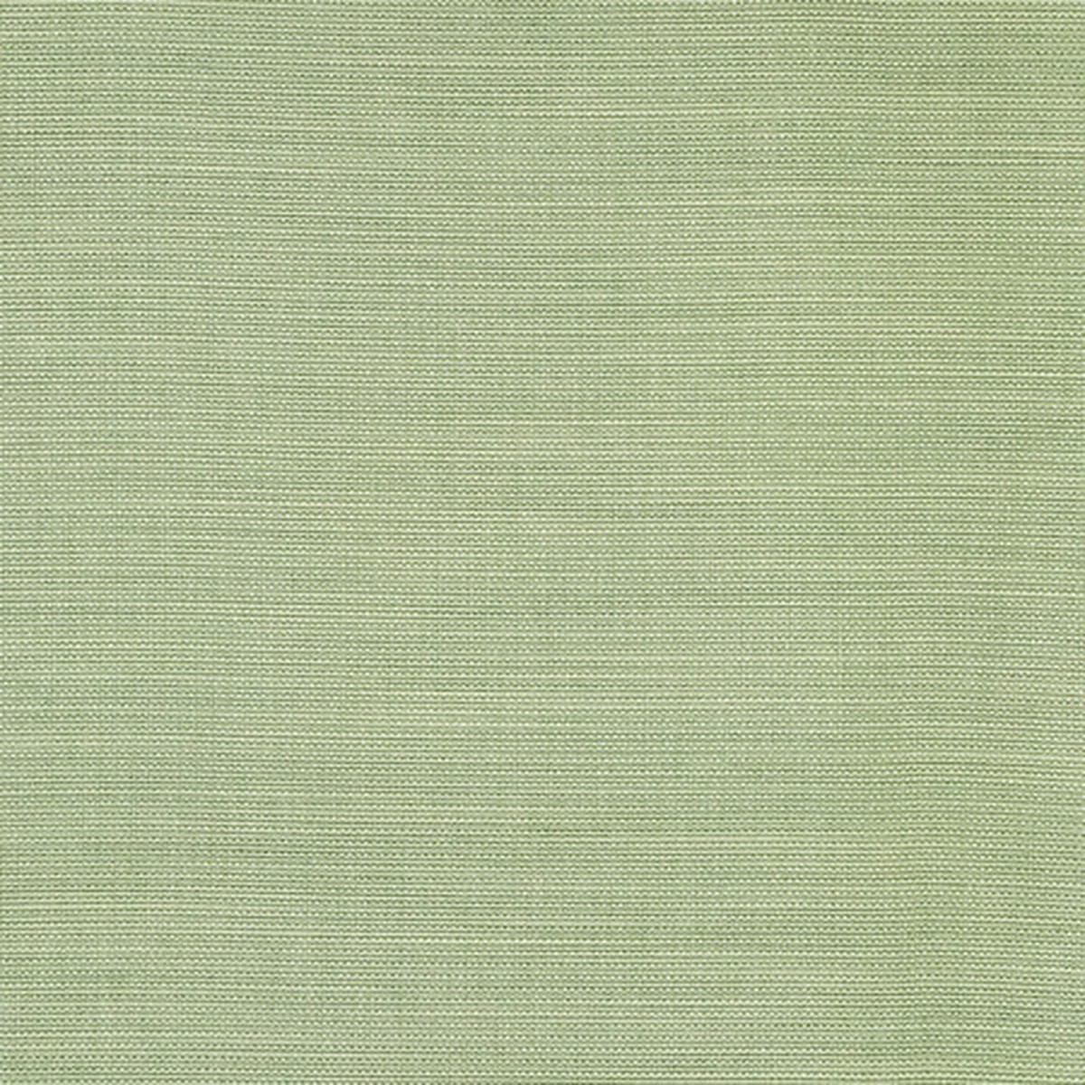 Boardroom Aloe by Carole Fabric