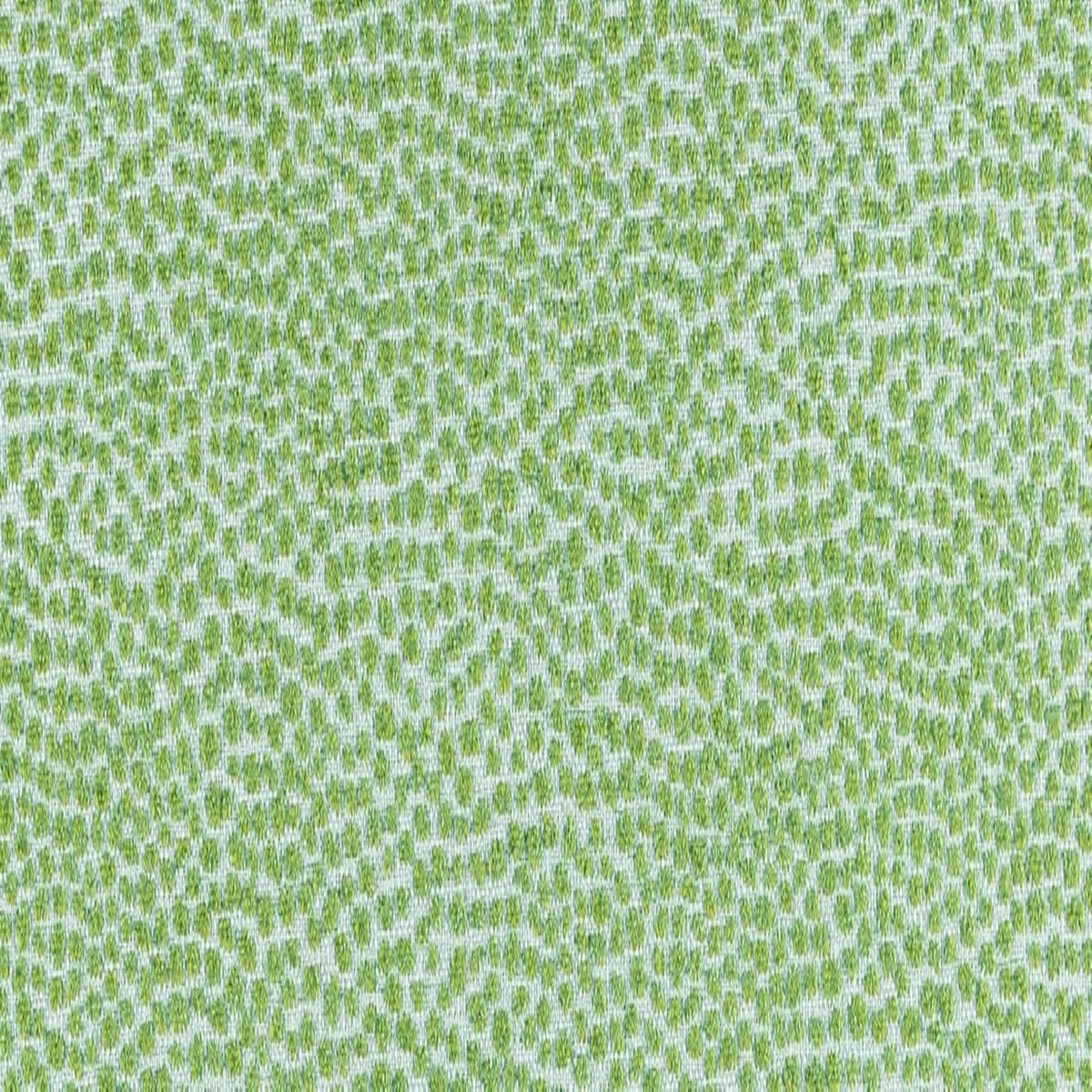 Dotify 288 Pear Covington Fabric