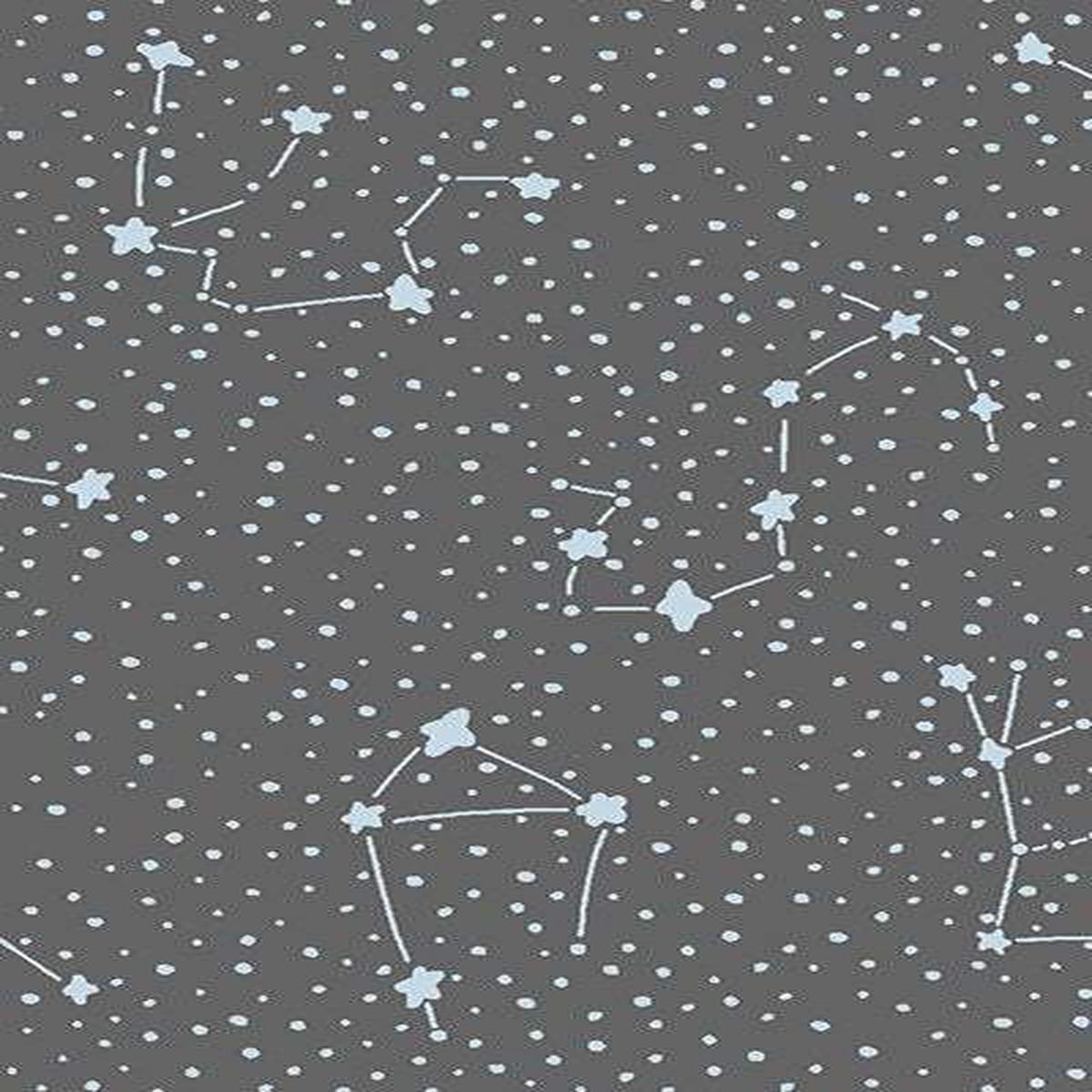 Cosmic Sea Galaxy By Calli And Co. For Cotton + Steel Overcast