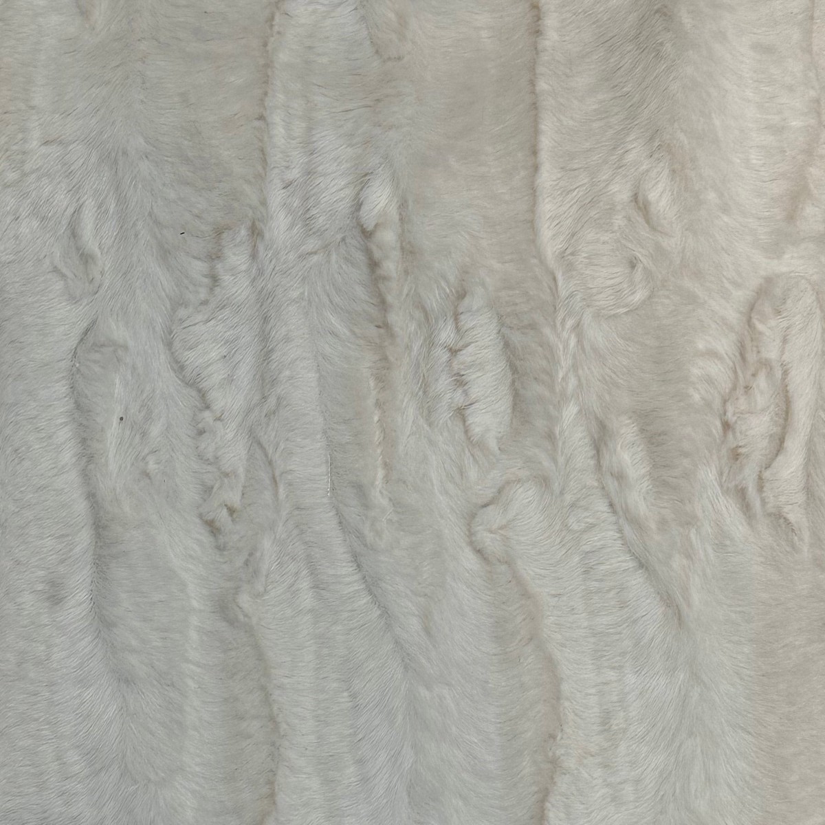 Koontz Eggshell Hamilton Fabric