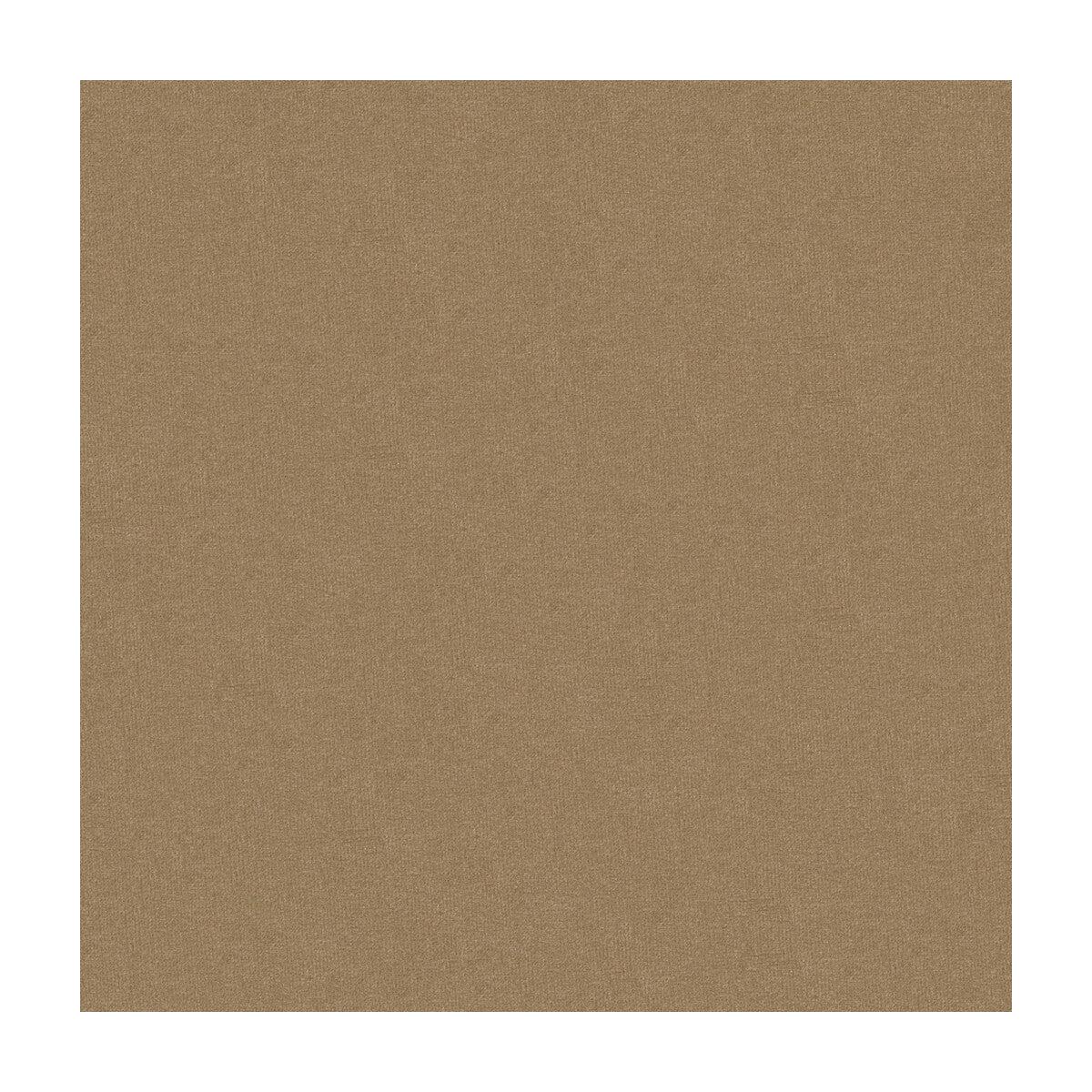 Kravet Design 34205-1110 Fabric